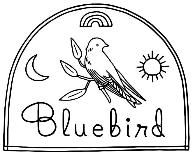 Bluebird — Laser Hair Removal for Everyone