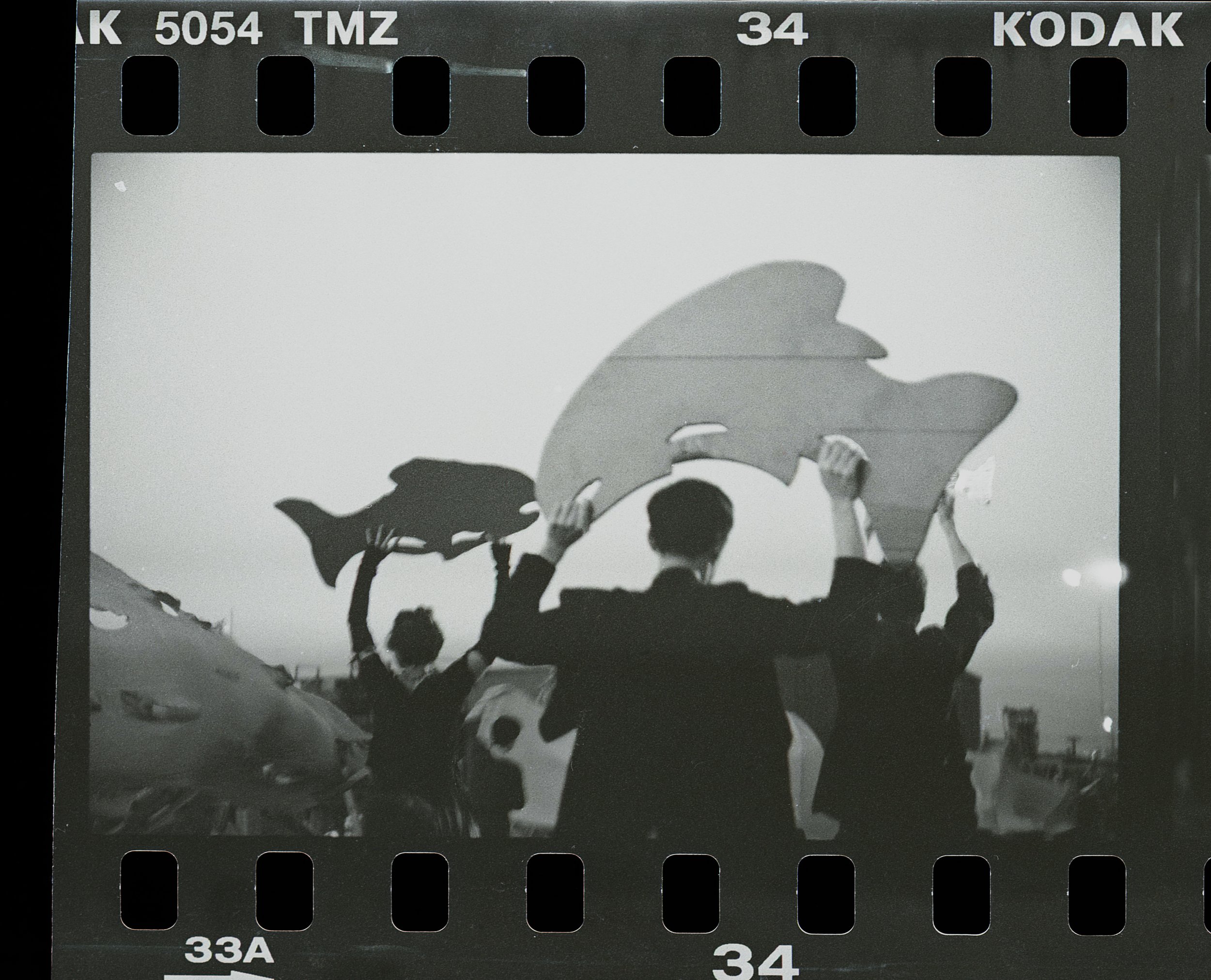 Body to Land - The River 