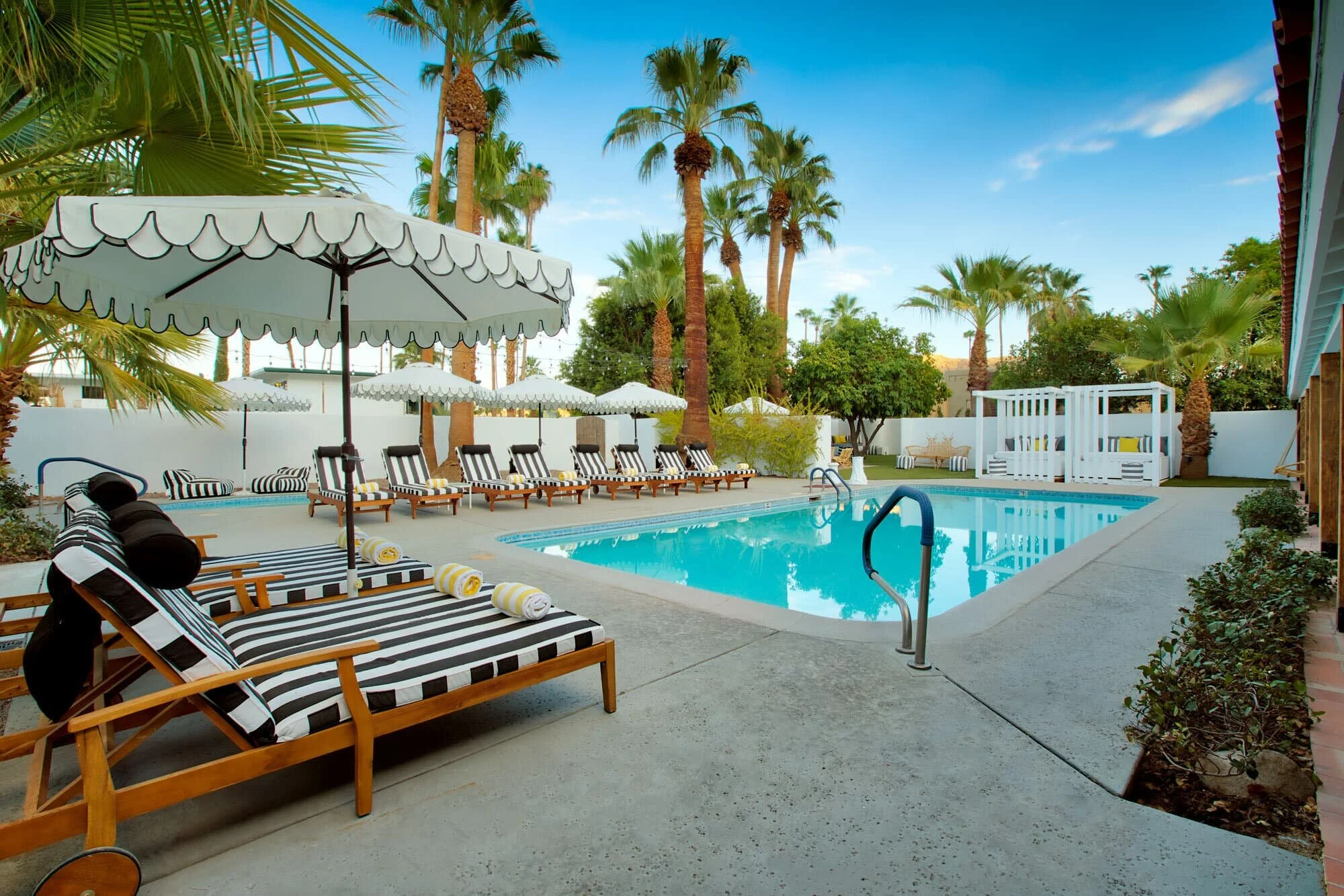 Dive Palm Springs Palm Springs Boutique Hotel