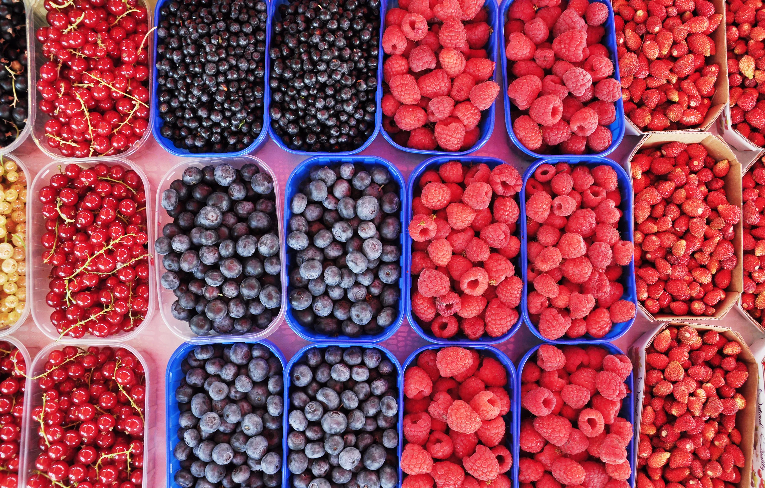 How To Keep Your Berries Mold Free