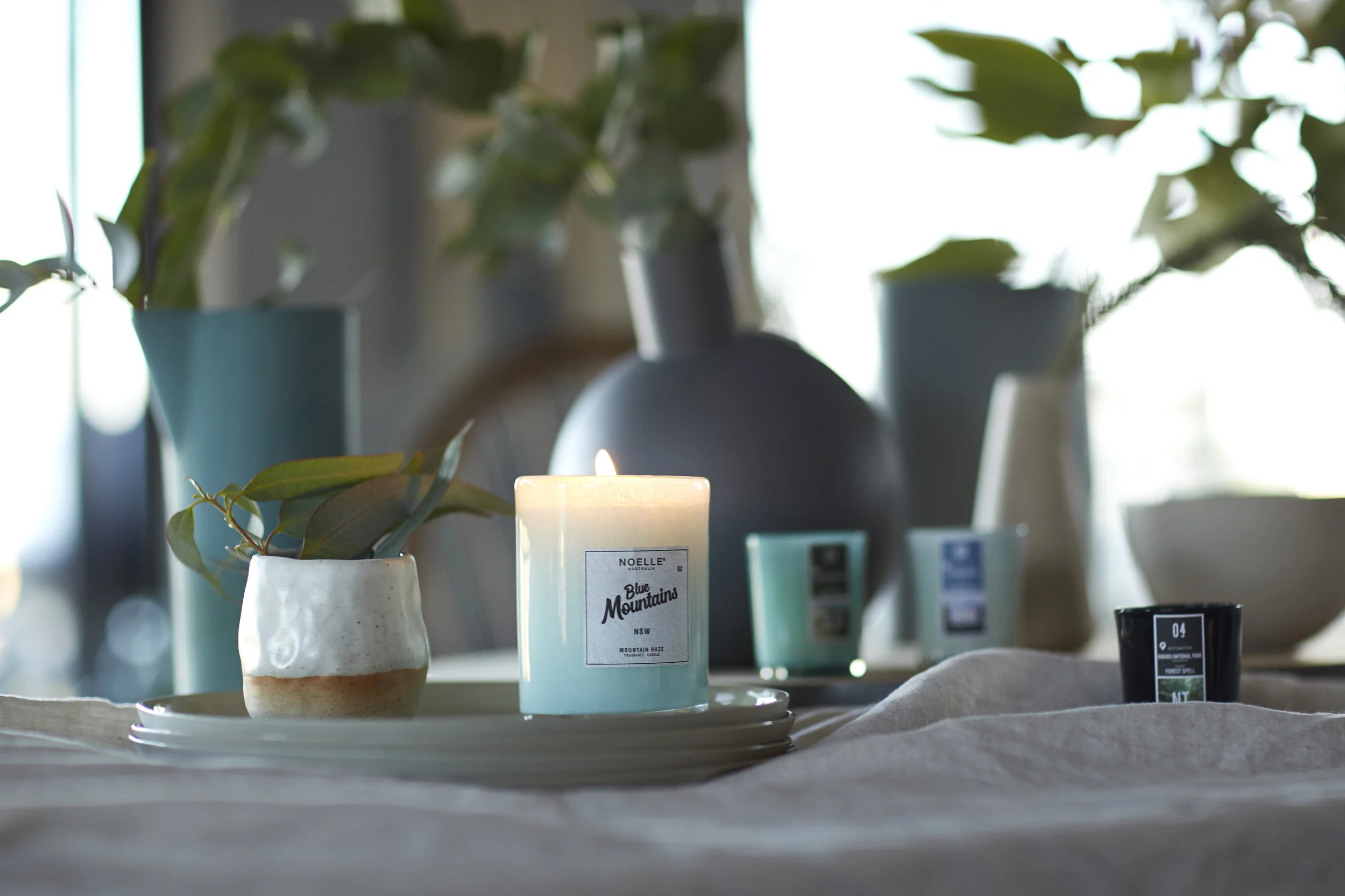 What Toxic Chemicals Are In Your Home?  An Infographic