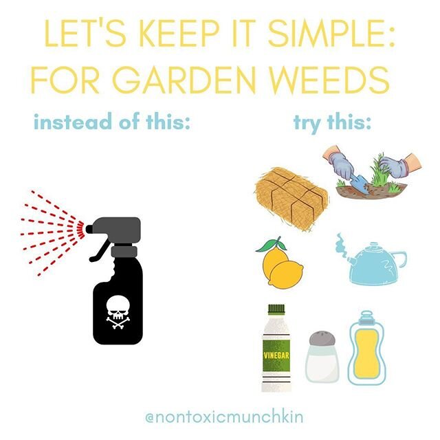 If you have a garden or lawn you&rsquo;re familiar with weeds. If you dont embrace them keep this in mind: ⁣
⁣
How you treat &amp; manage weeds is important. Many quick-acting chemical herbicides contain potent &amp; harmful chemicals;&nbsp; esp to c