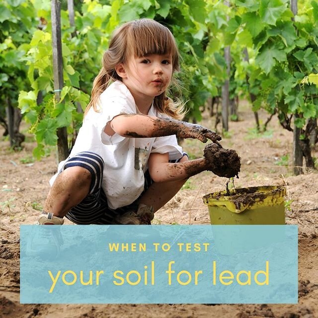 Whether your kids are playing with dirt (mudpies anyone?) or your family is gardening in it- dirt health and quality is important and not often something most of us think about.⁣
⁣
The main concern with dirt, from a chemical perspective, are heavy me