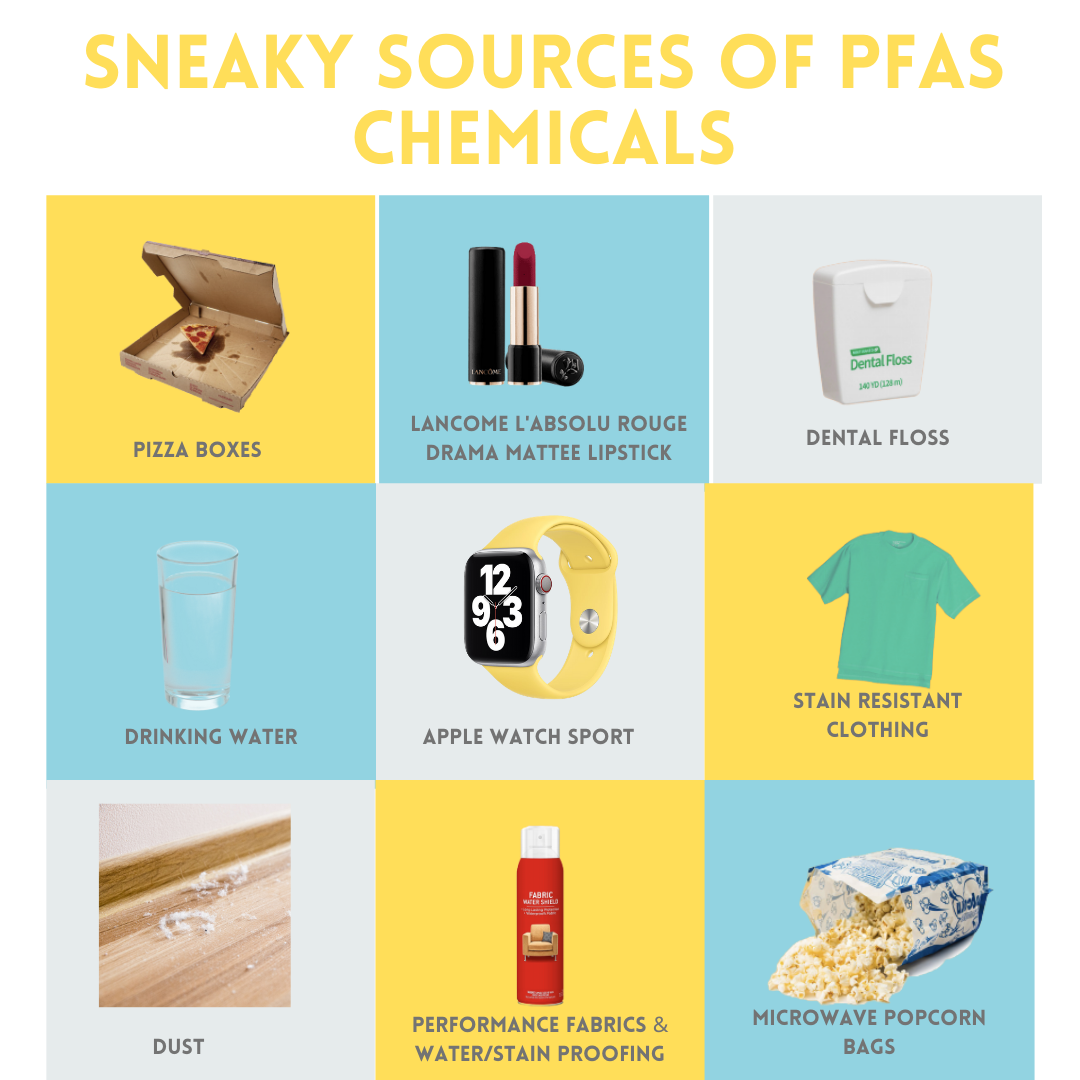 Surprising Sources of PFAS Exposure — 3 Little Plums