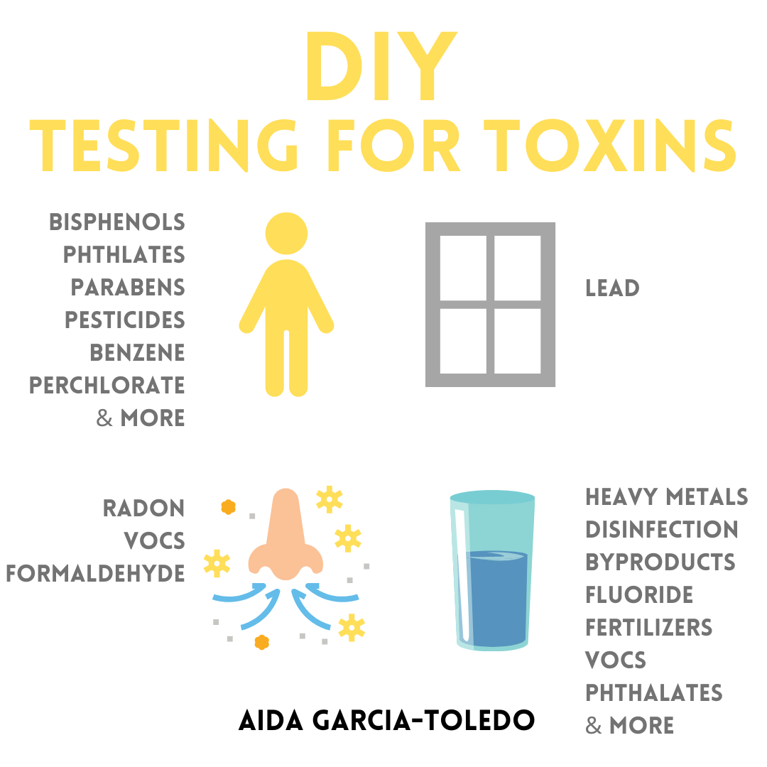 How To Test For Toxic Chemicals At Home:  Testing Your Paint, Water, Air and Body
