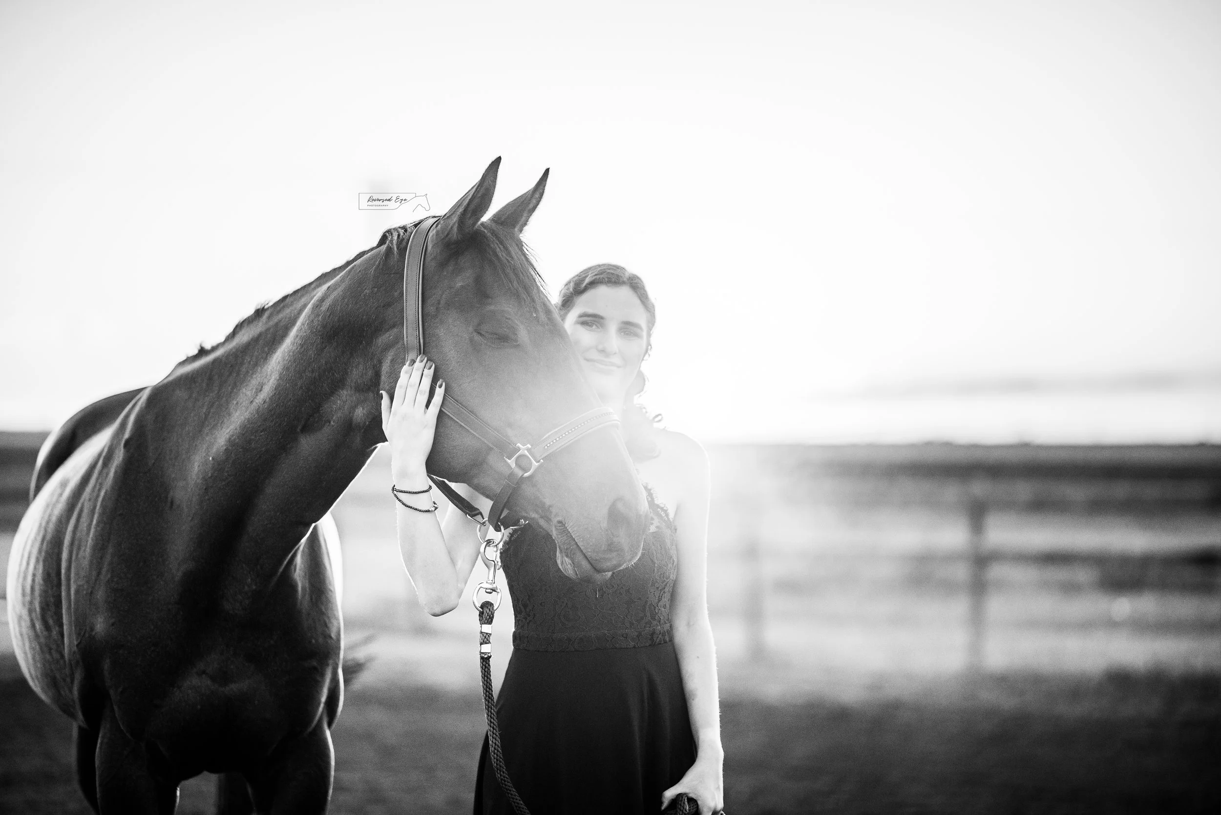 Blog of the Calgary Equine Photographer Reversed Eye PhotographyCalgary Equine Photographer