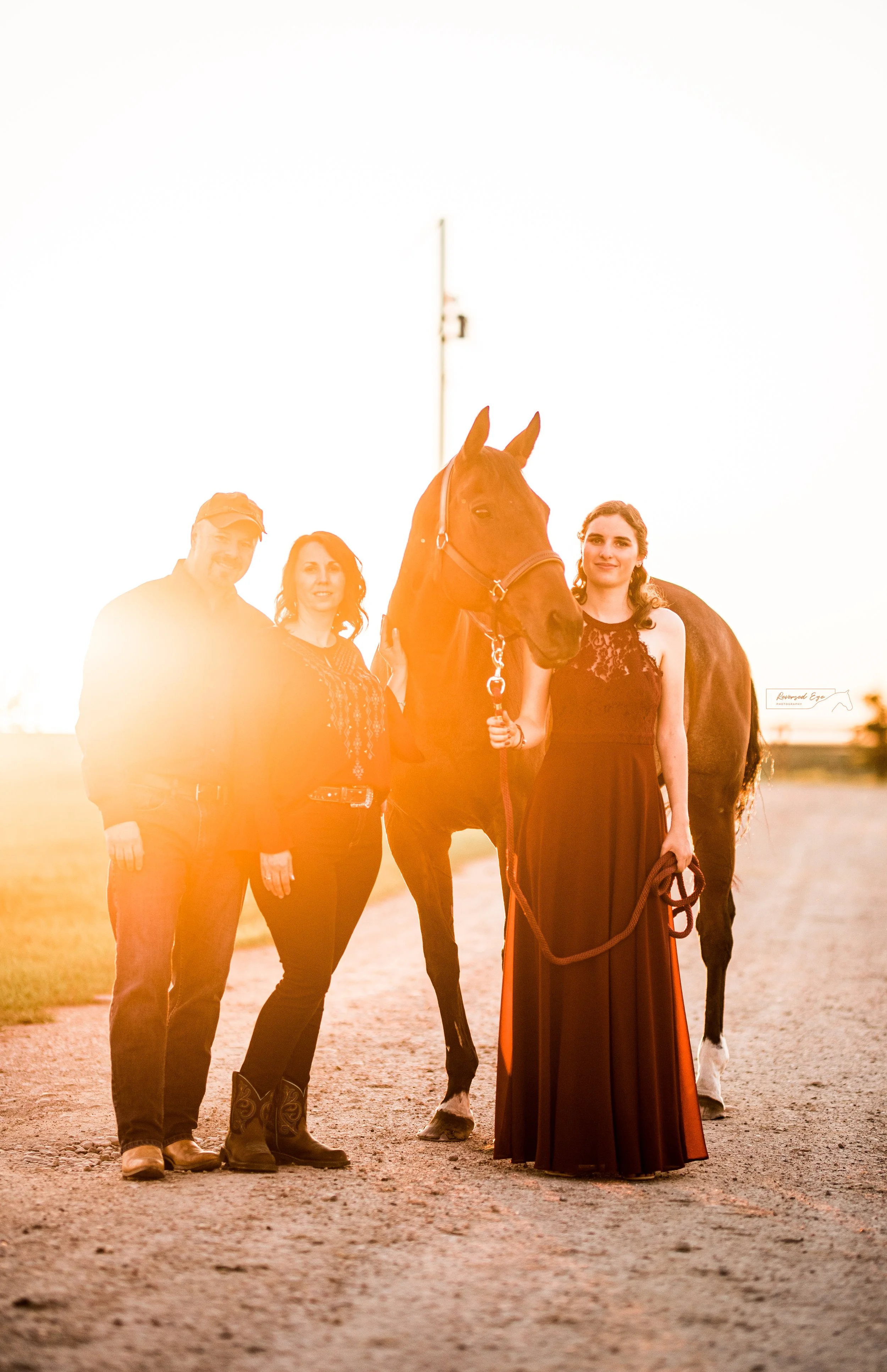 Blog of the Calgary Equine Photographer Reversed Eye Photography