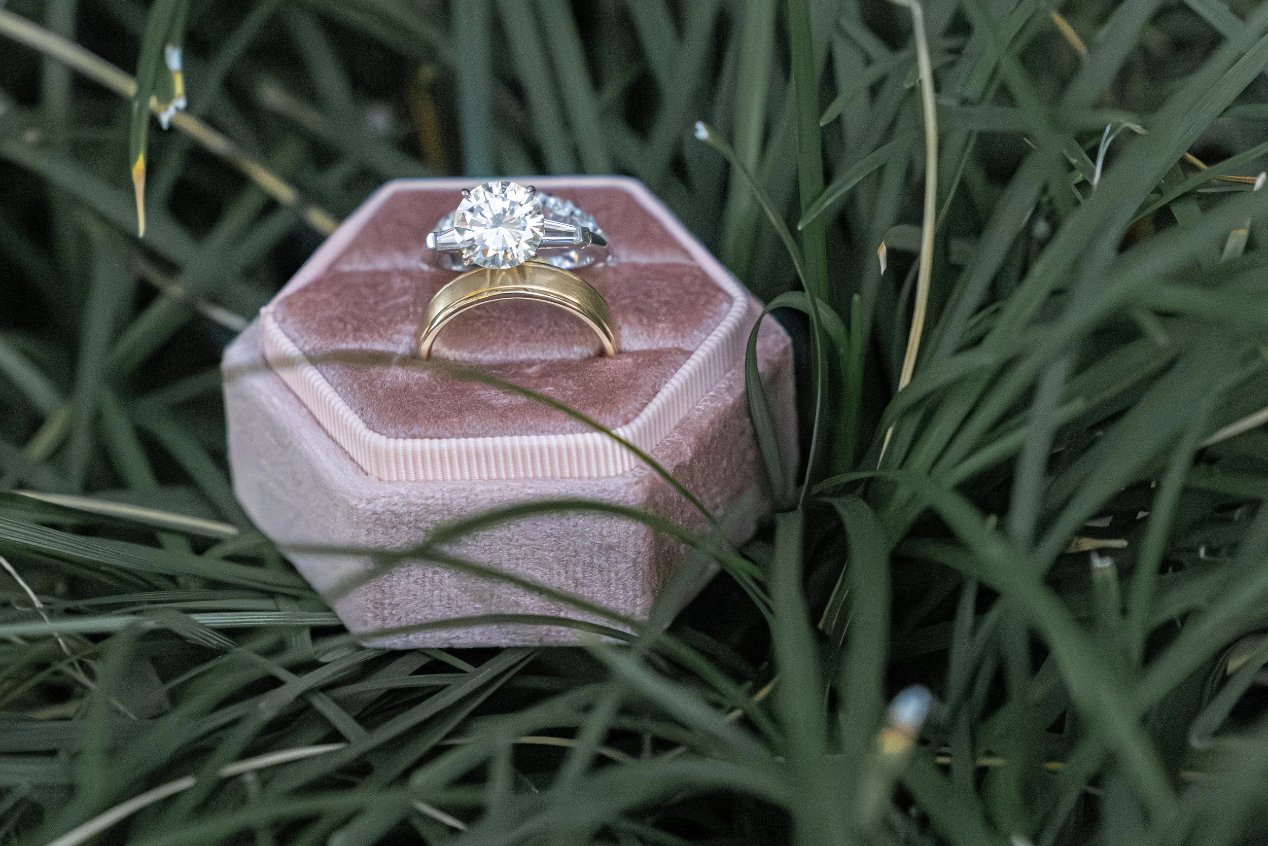 GEORGESTREETPHOTO&VIDEO-ROTE&CARNEYWEDDING-1.jpg