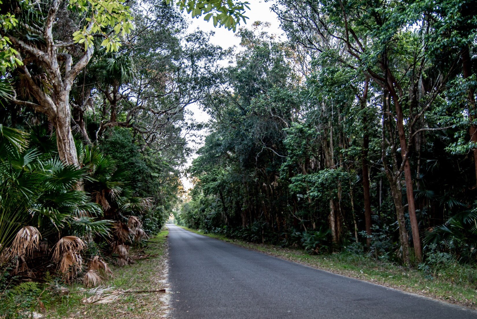 Myall National Park.jpg