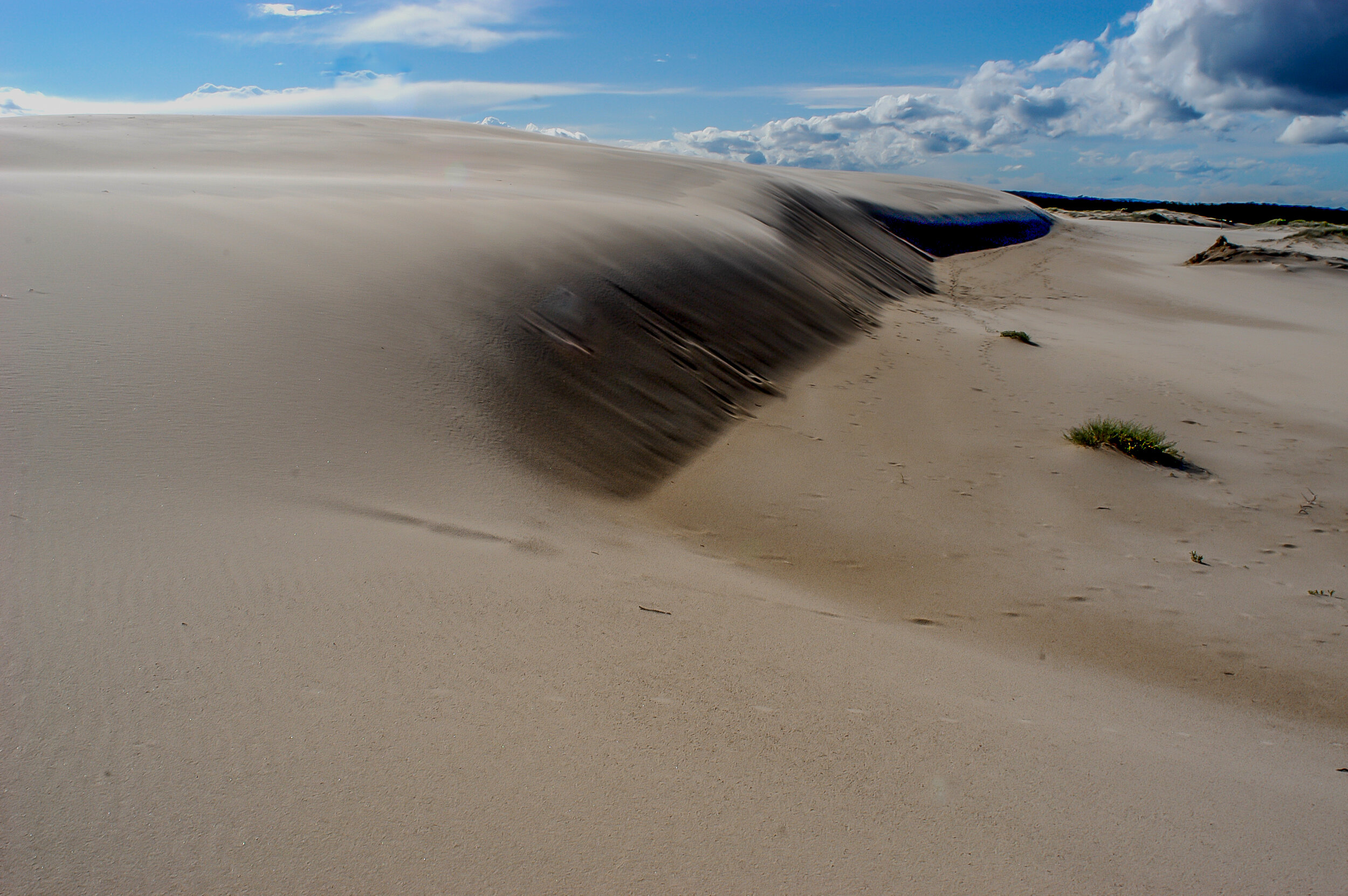 Sand dunes near dark point and mungo brush 2.JPG