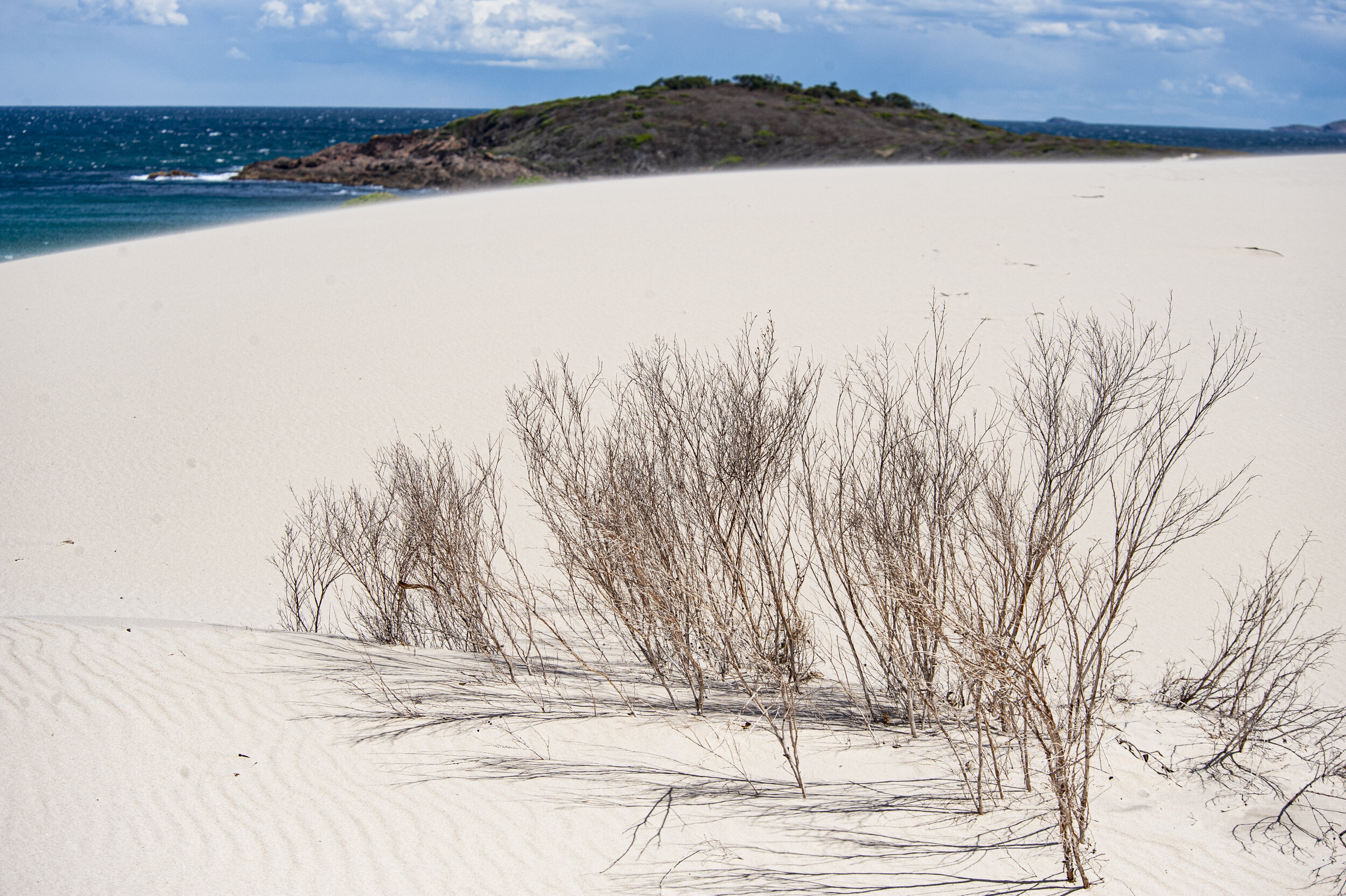 Sand dunes near Dark Point.jpg