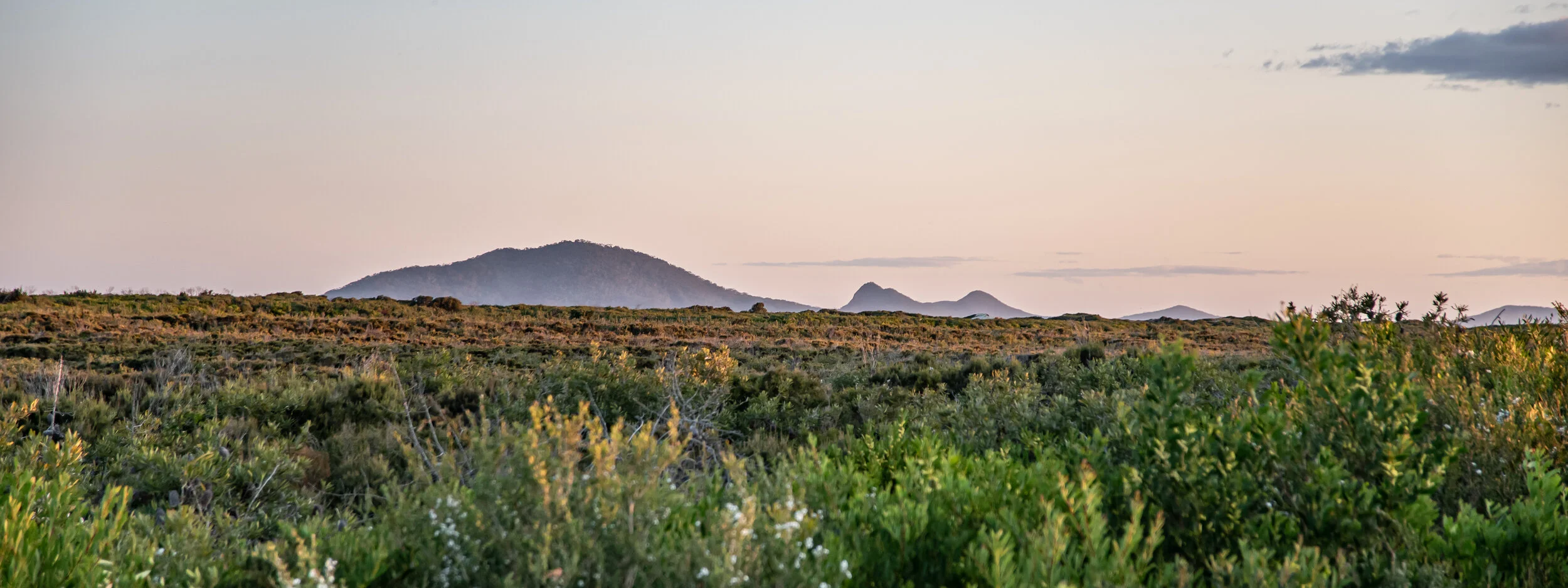 Mungo brush by sunset 4.jpg