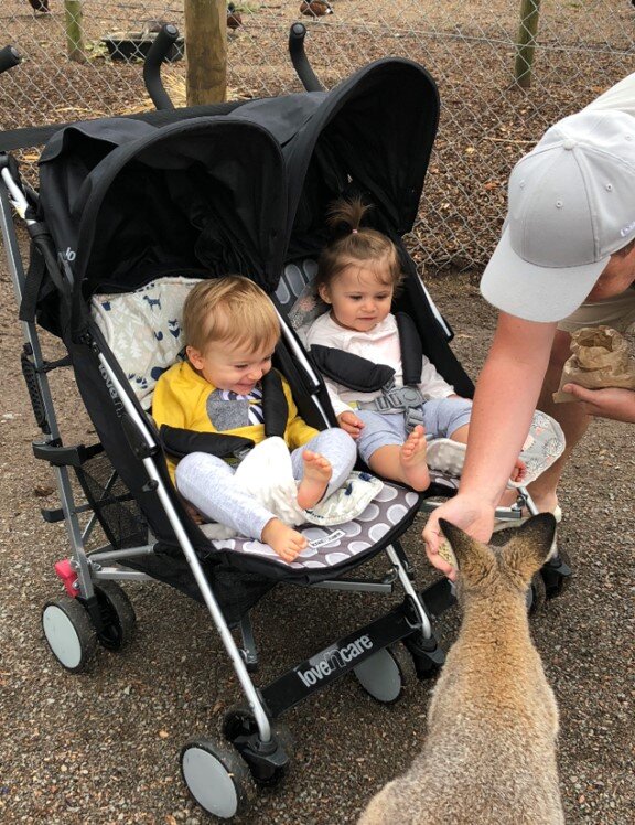 oakvale kangaroo and kids.jpg