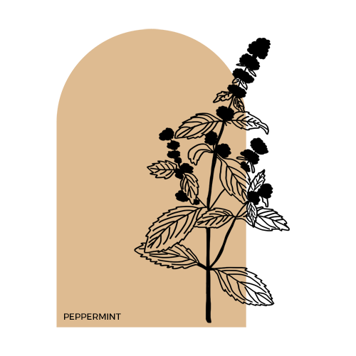 Peppermint.png