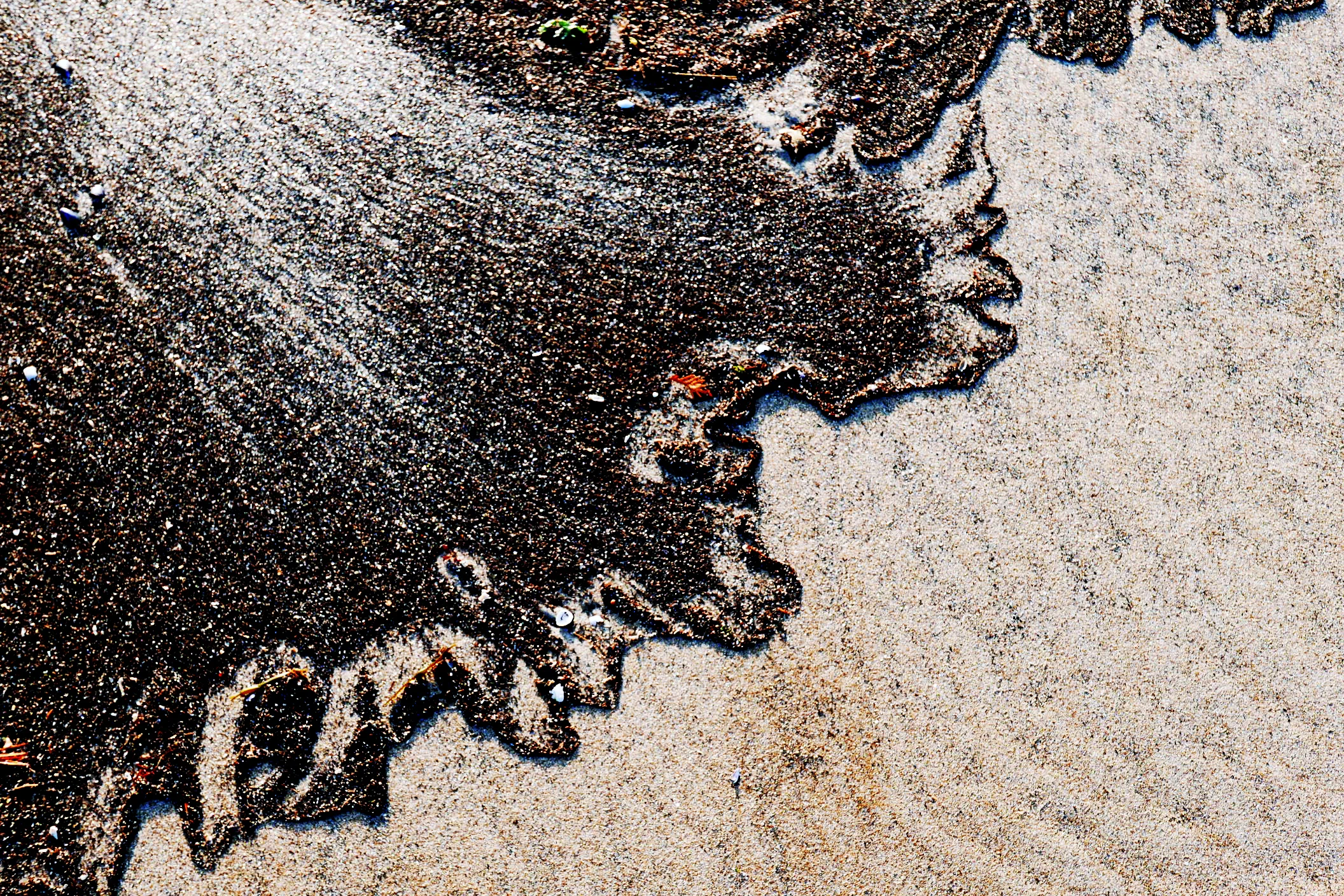 Black Tideline 2170454 copy.jpg