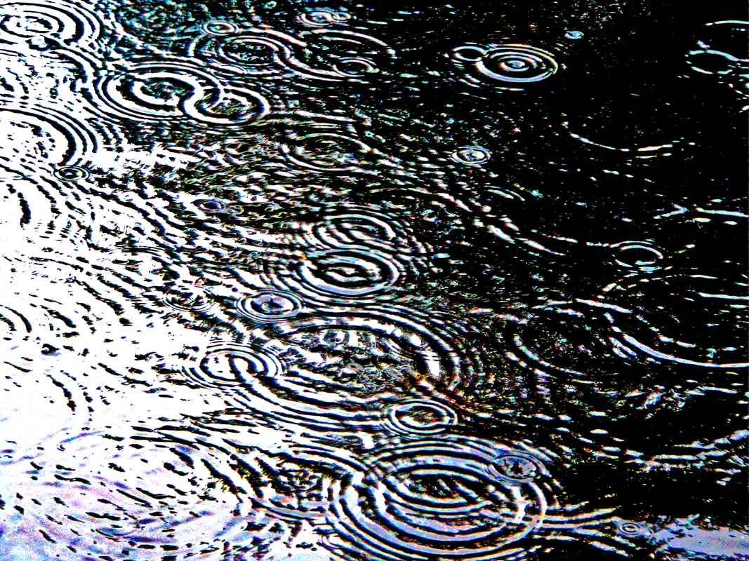 rain 8386 M copy.jpg