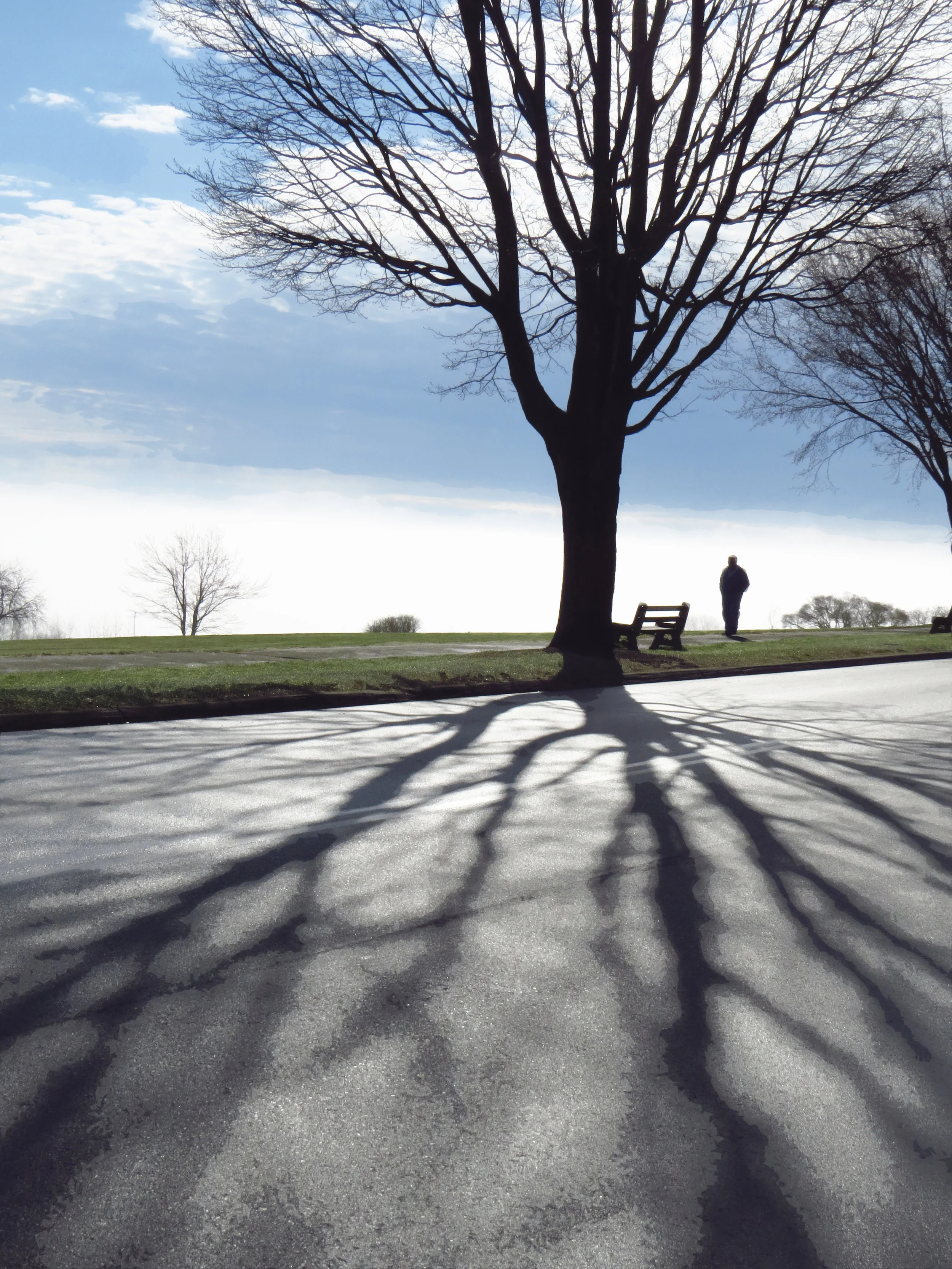 wlalking silhouette_9574 copy.jpg
