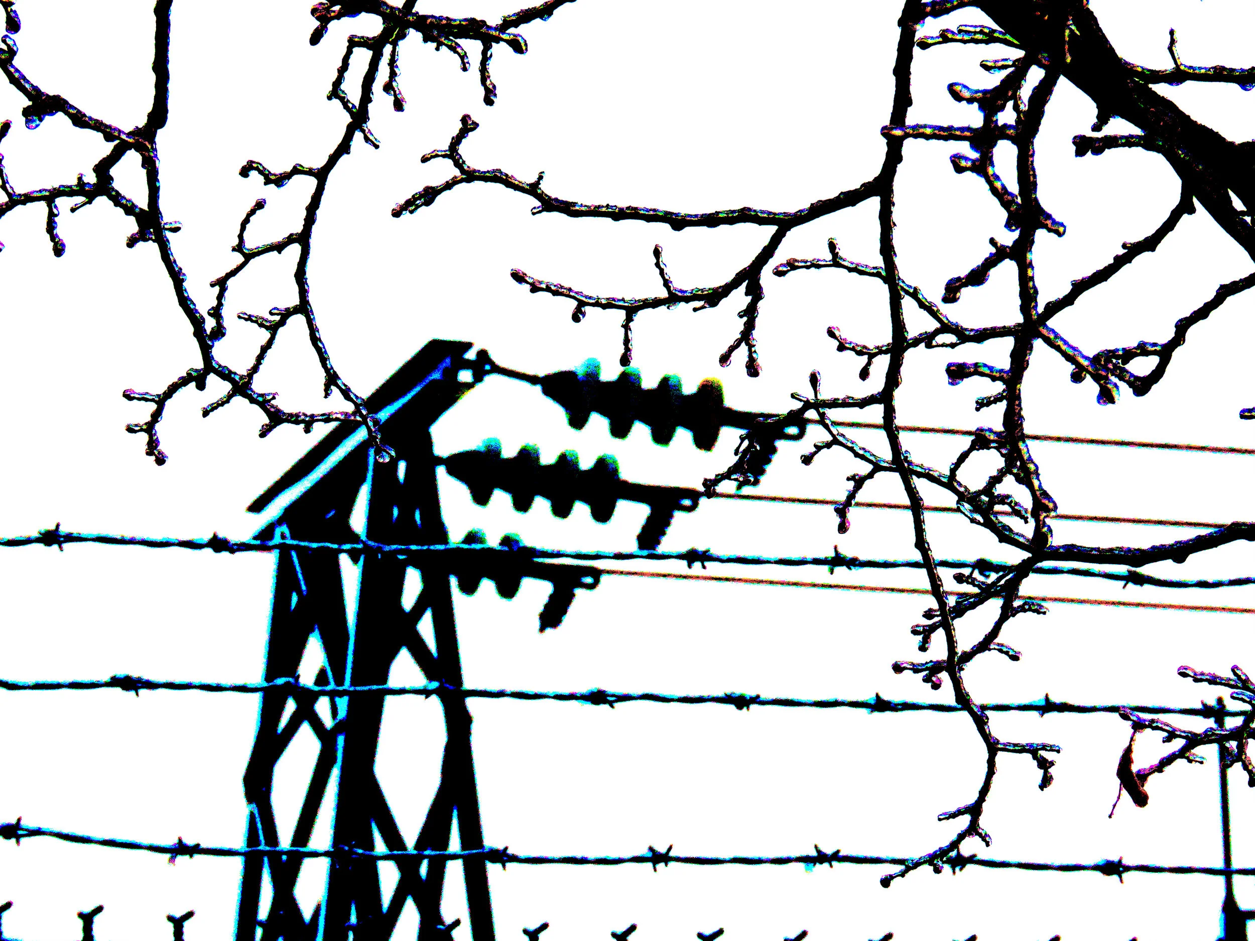Ice Power_6315 copy copy.jpg