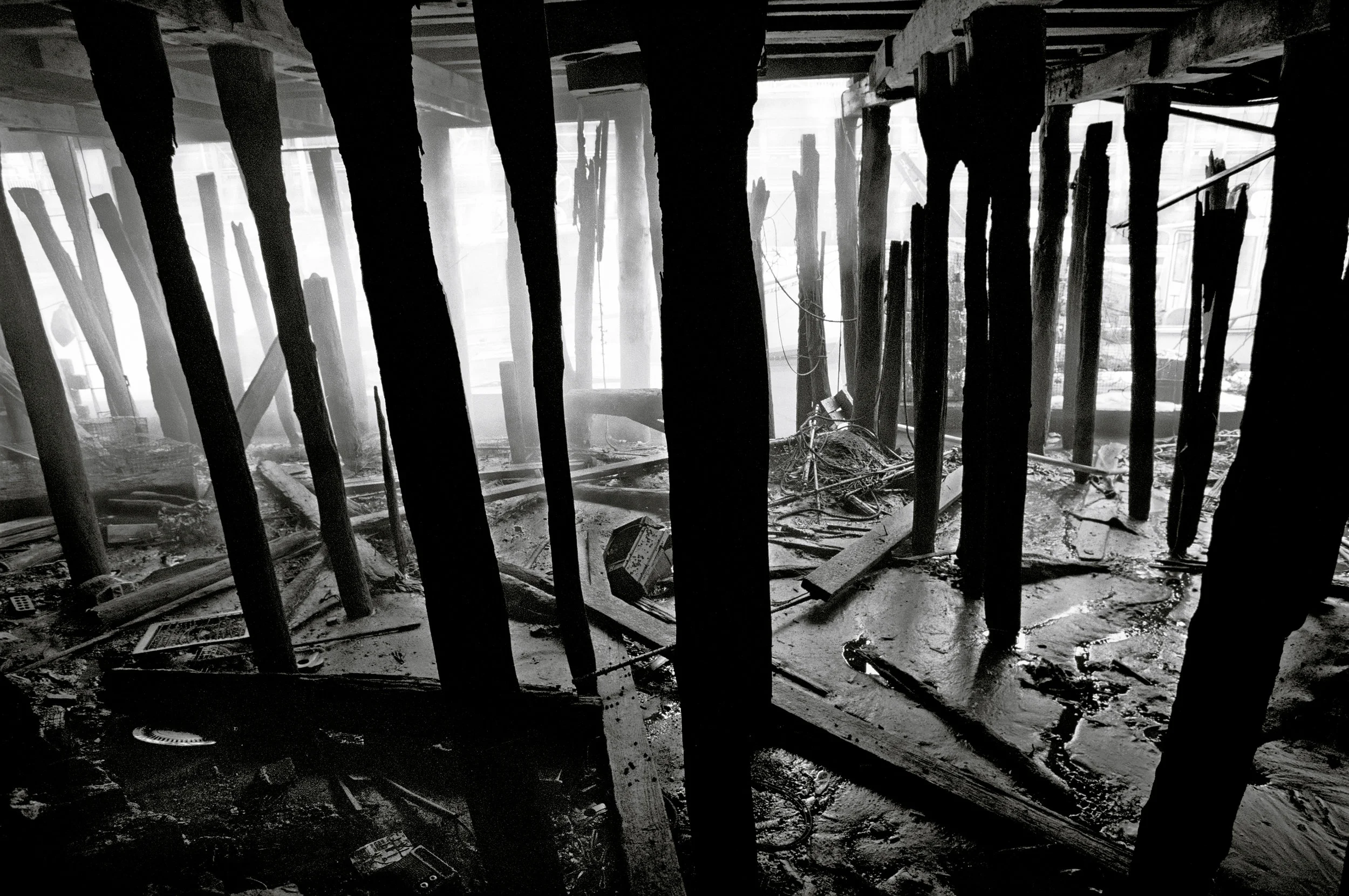 under Widgery Wharf.jpg