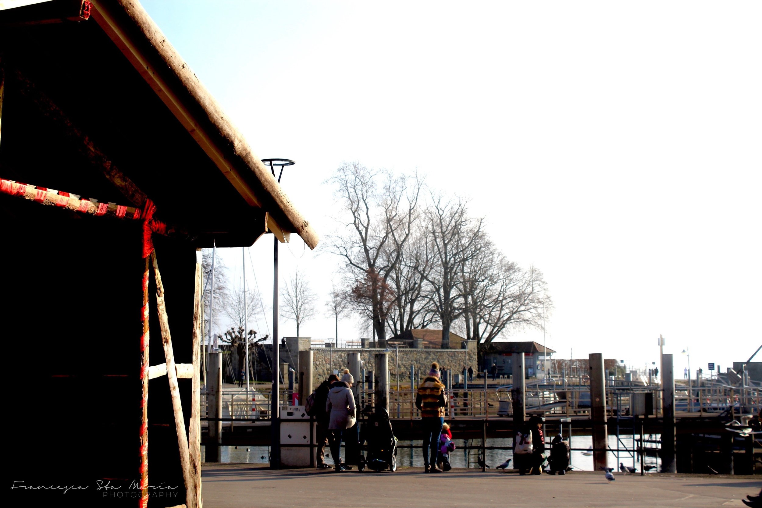 IMG_6853.jpg