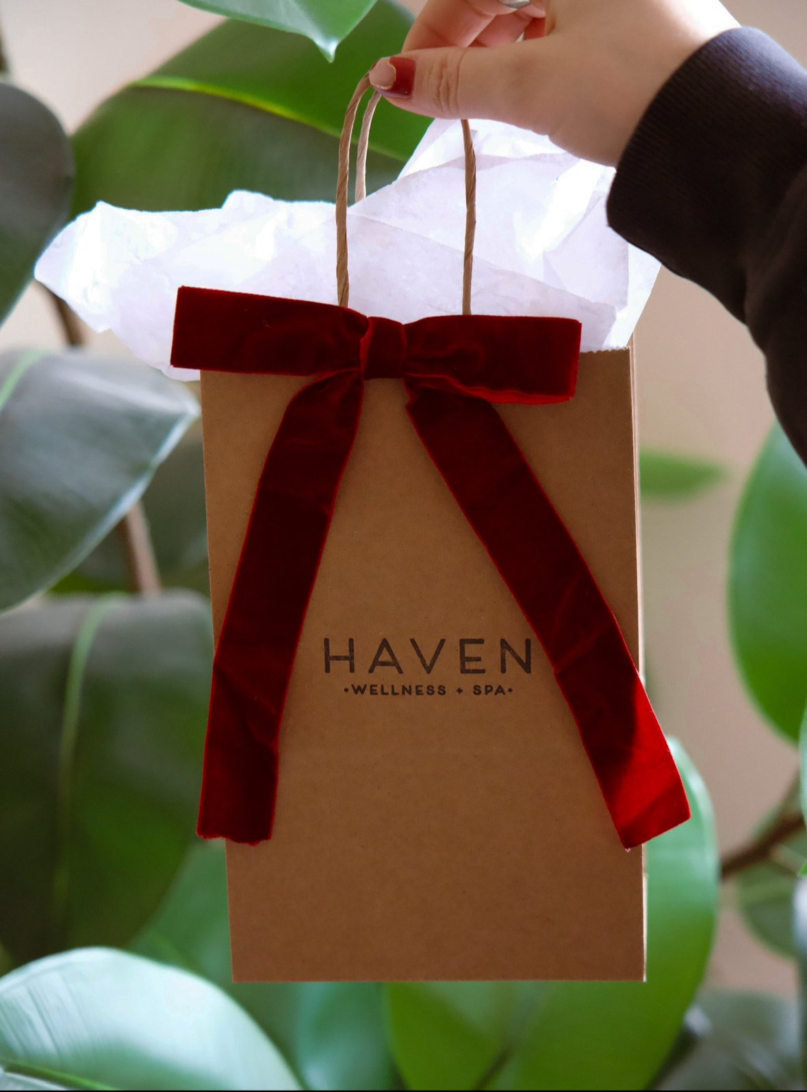 Holiday Gift Guide 2025