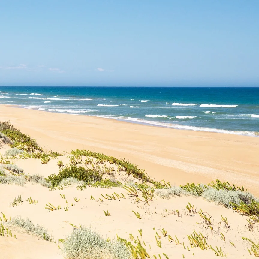 ninety-mile-beach_gip_r_146263_1150x863.jpg
