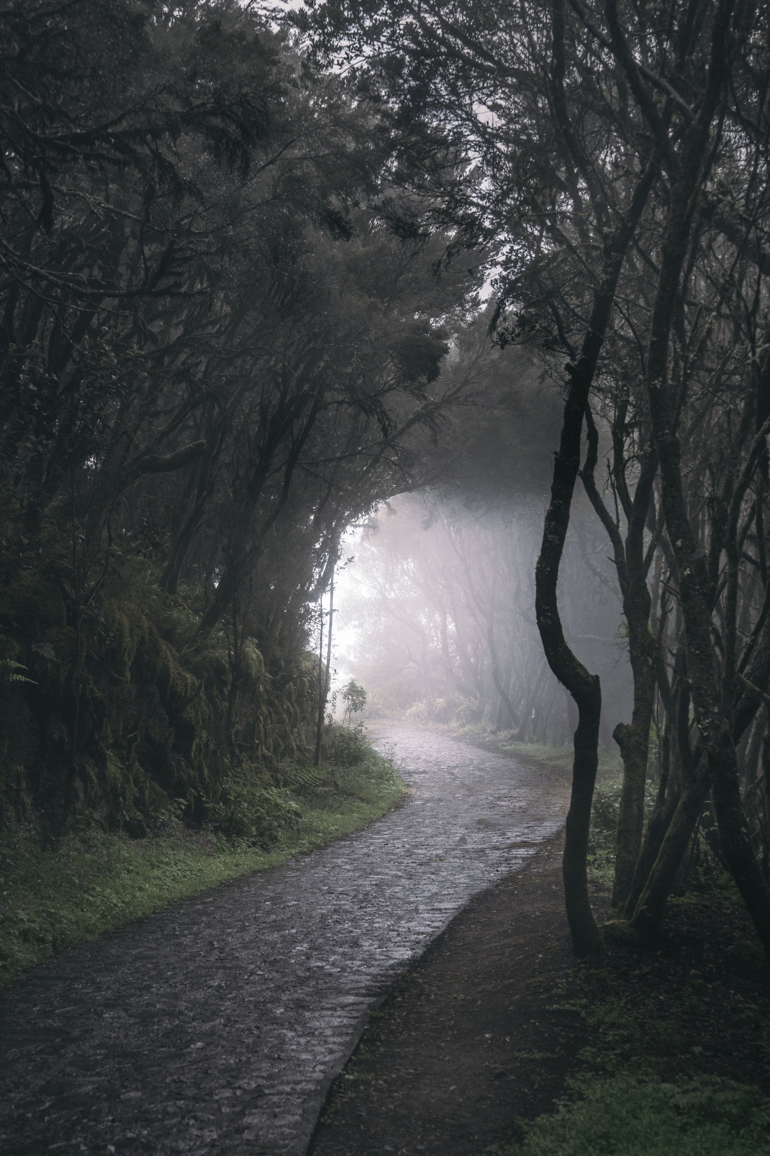 Open Edition Prints | 8x12'' Fine Art Photography