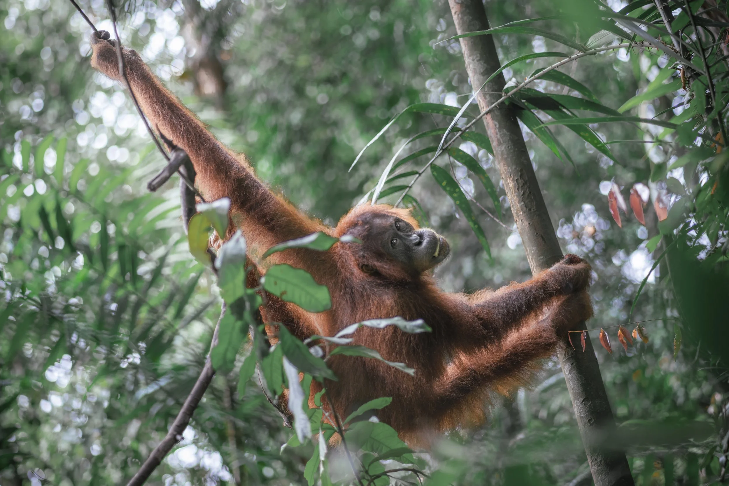 Open Edition Prints | 8x12'' Fine Art Photography