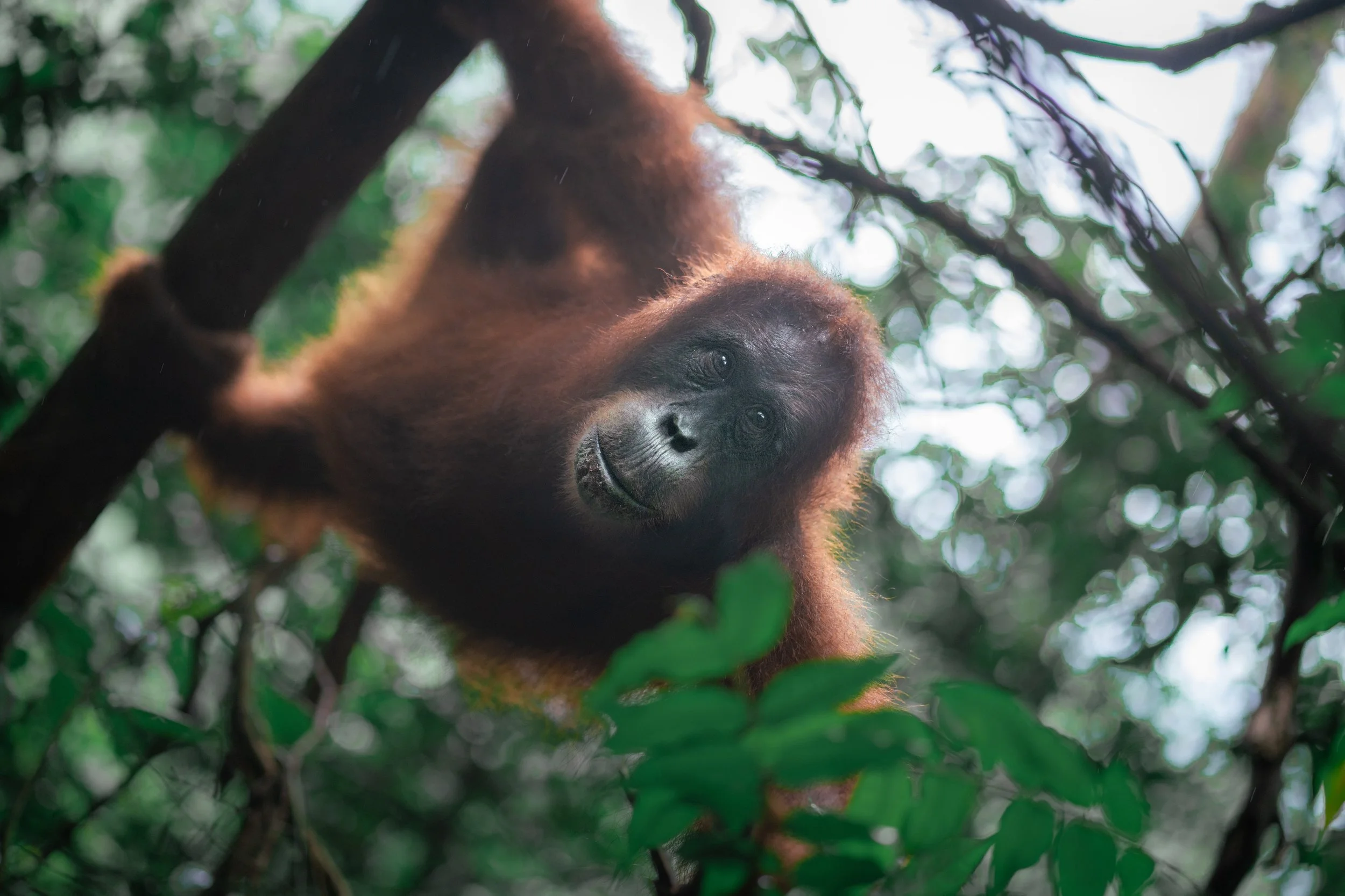 Open Edition Prints | 8x12'' Fine Art Photography