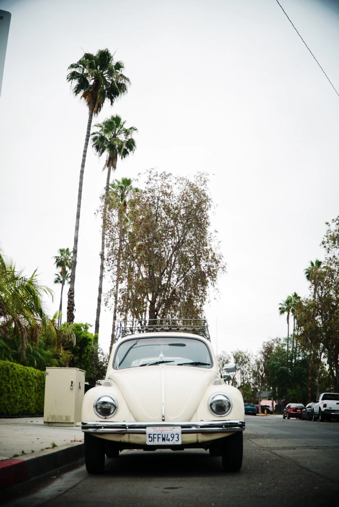 EF3C208C-E6CE-4B1E-9557-315830E2FD6B 2.JPG