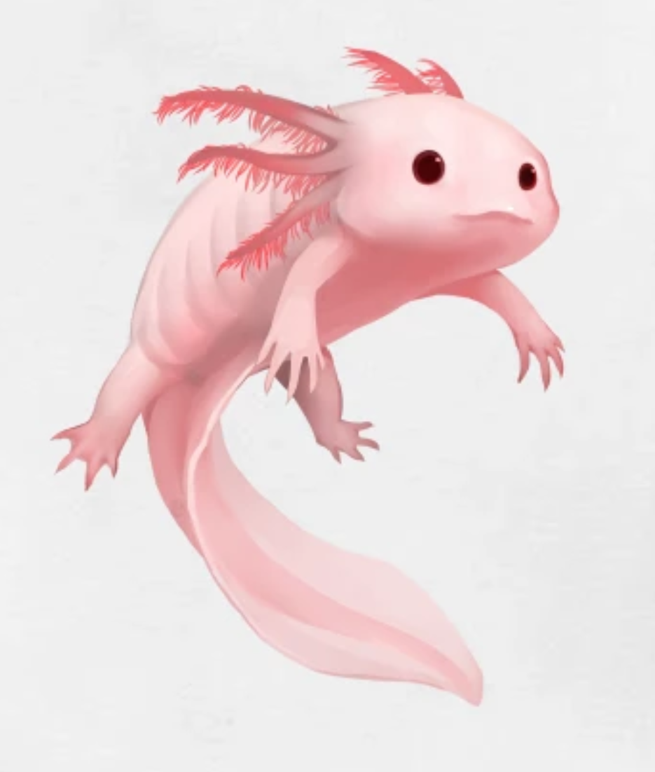 Pronounce axolotl