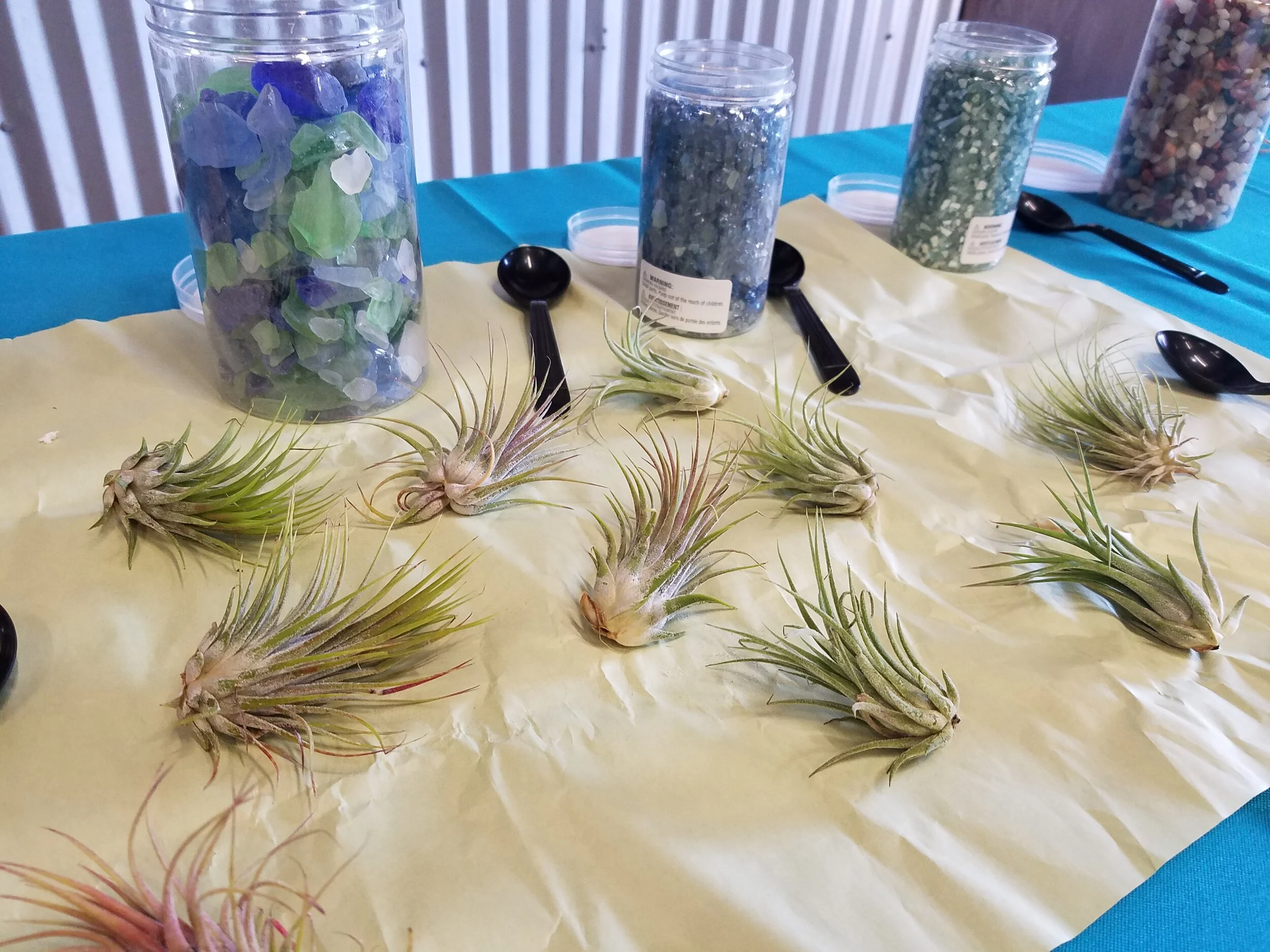 20190818_105738.jpg