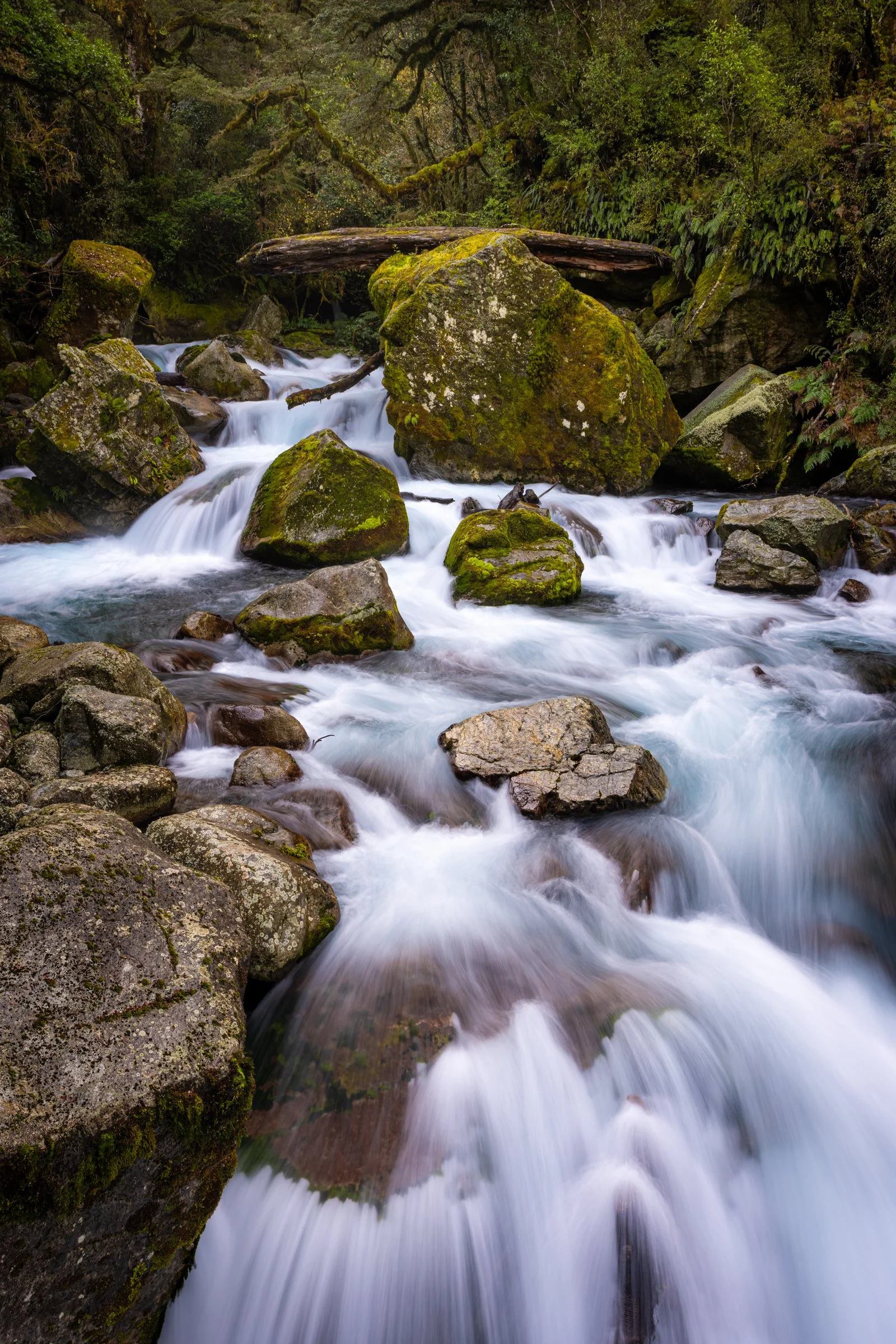 DSC09745-Edit.jpg