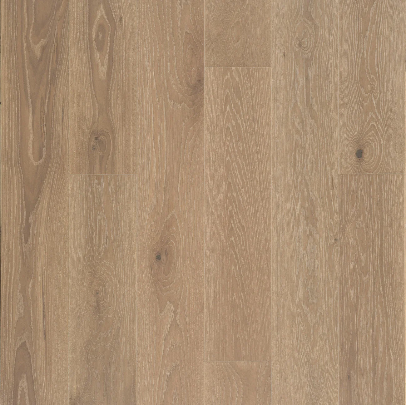 White Oak Character Hula Hoop.jpg