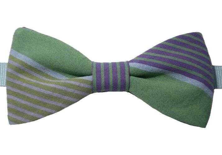 Noeud-papillon-raye-vert-bleu-violet_2_713x.jpg