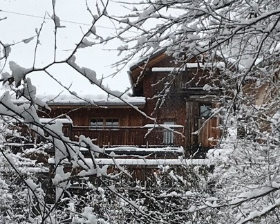 Le Perce Neige Saint Gervais Les Bains Le Perce Neige Saint Gervais Les Bains