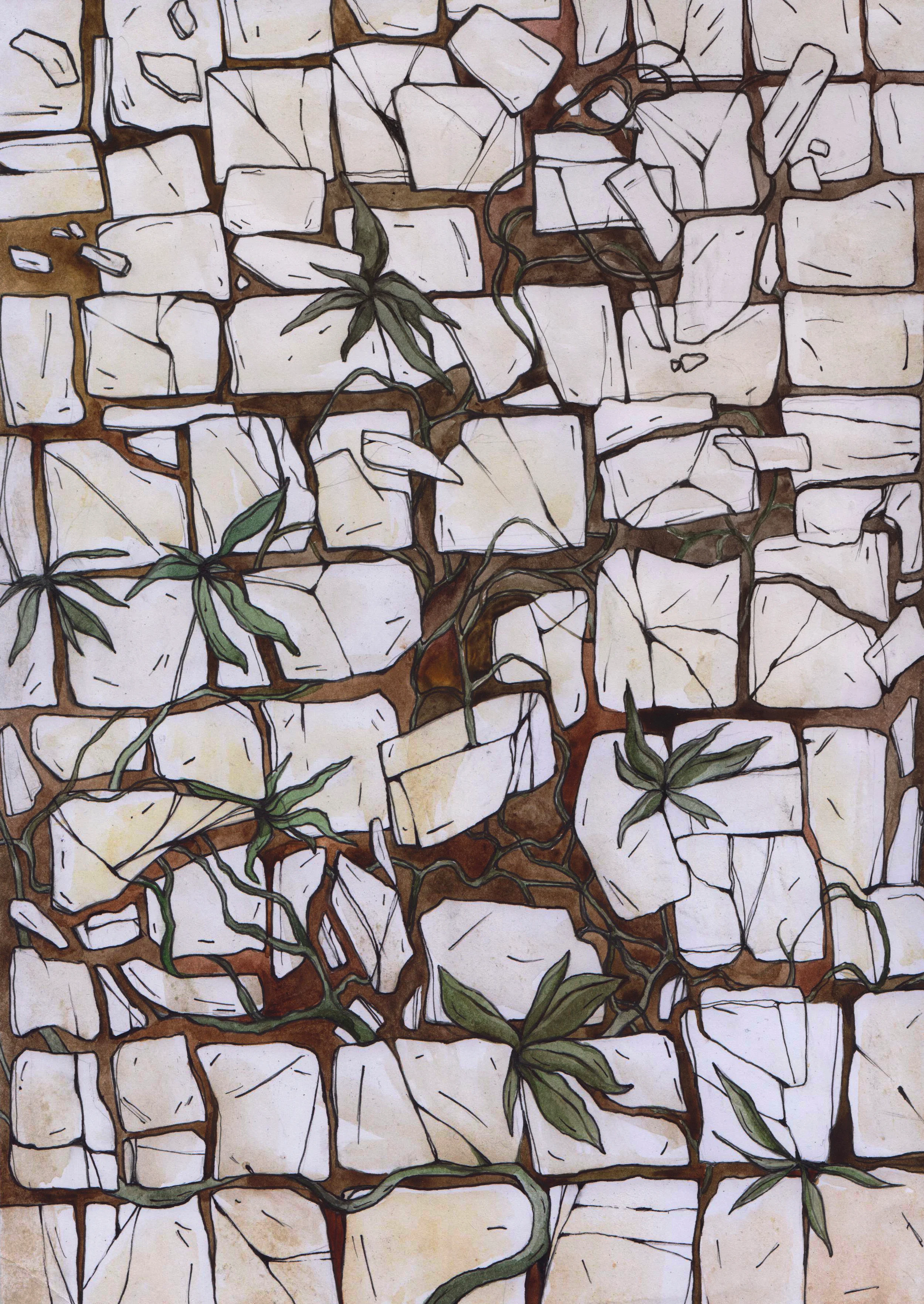 Biodiversity and the Cultural Landscape