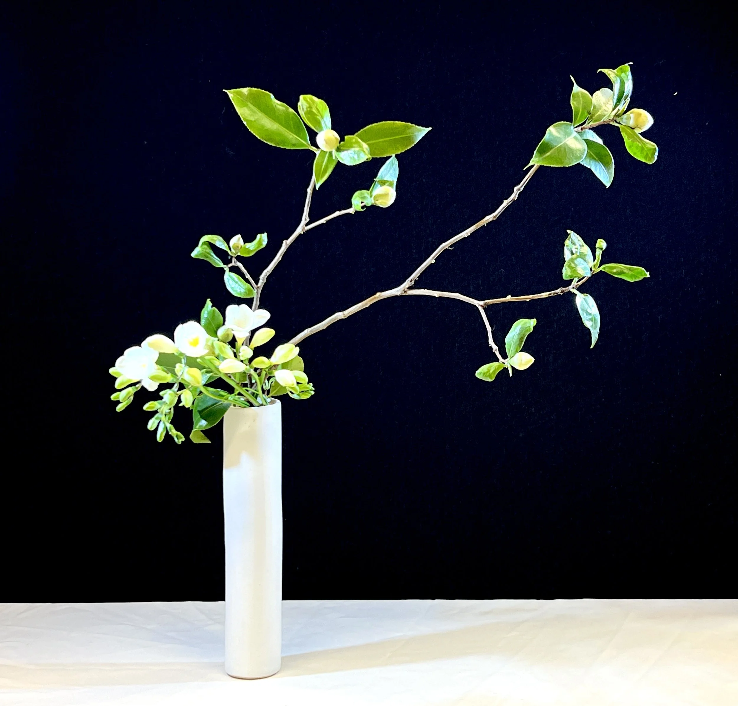 Voorbeeldschikking Mariëlle 