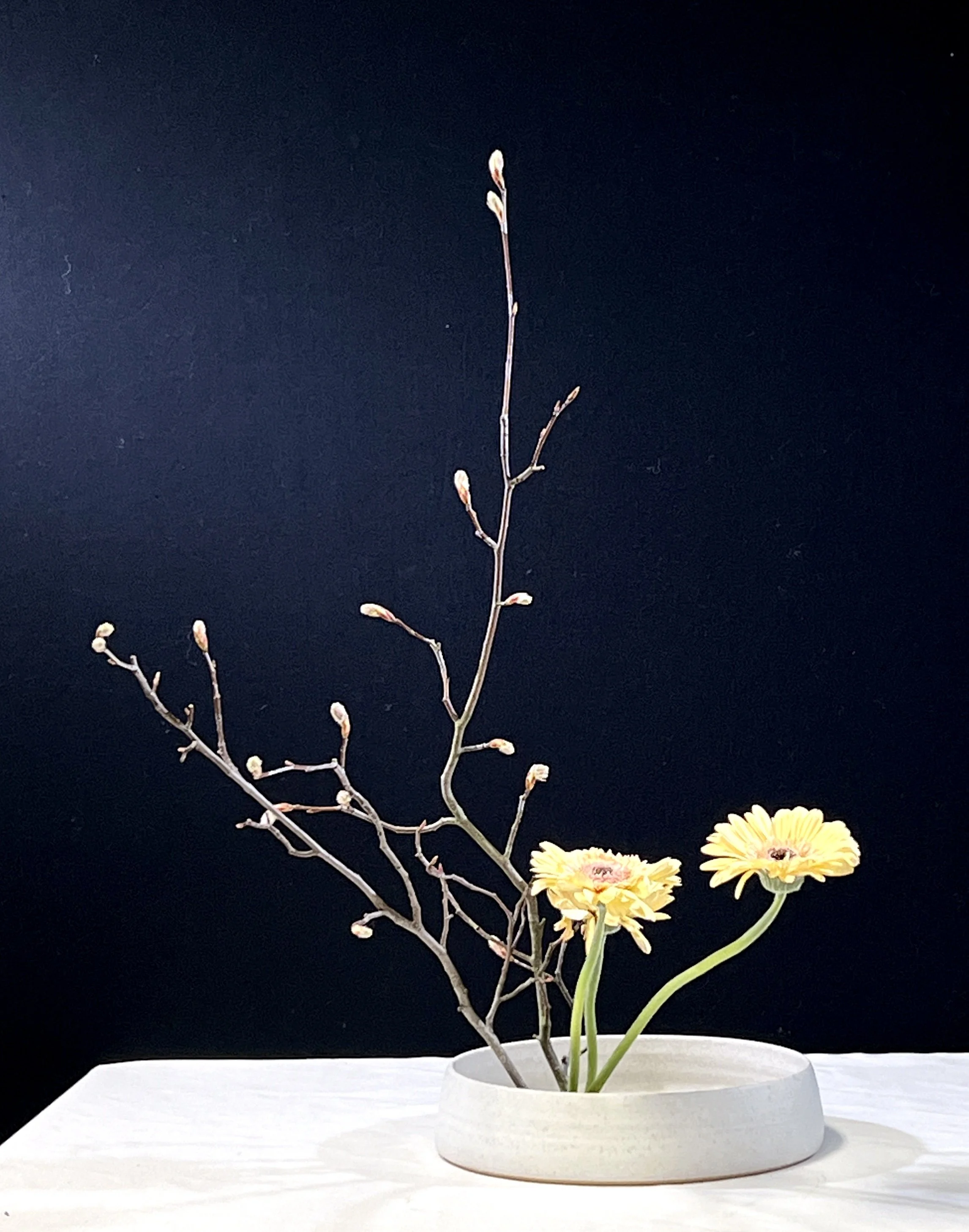 Voorbeeldschikking Basic Upright Style Moribana