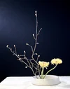 Voorbeeldschikking Basic Upright Style Moribana