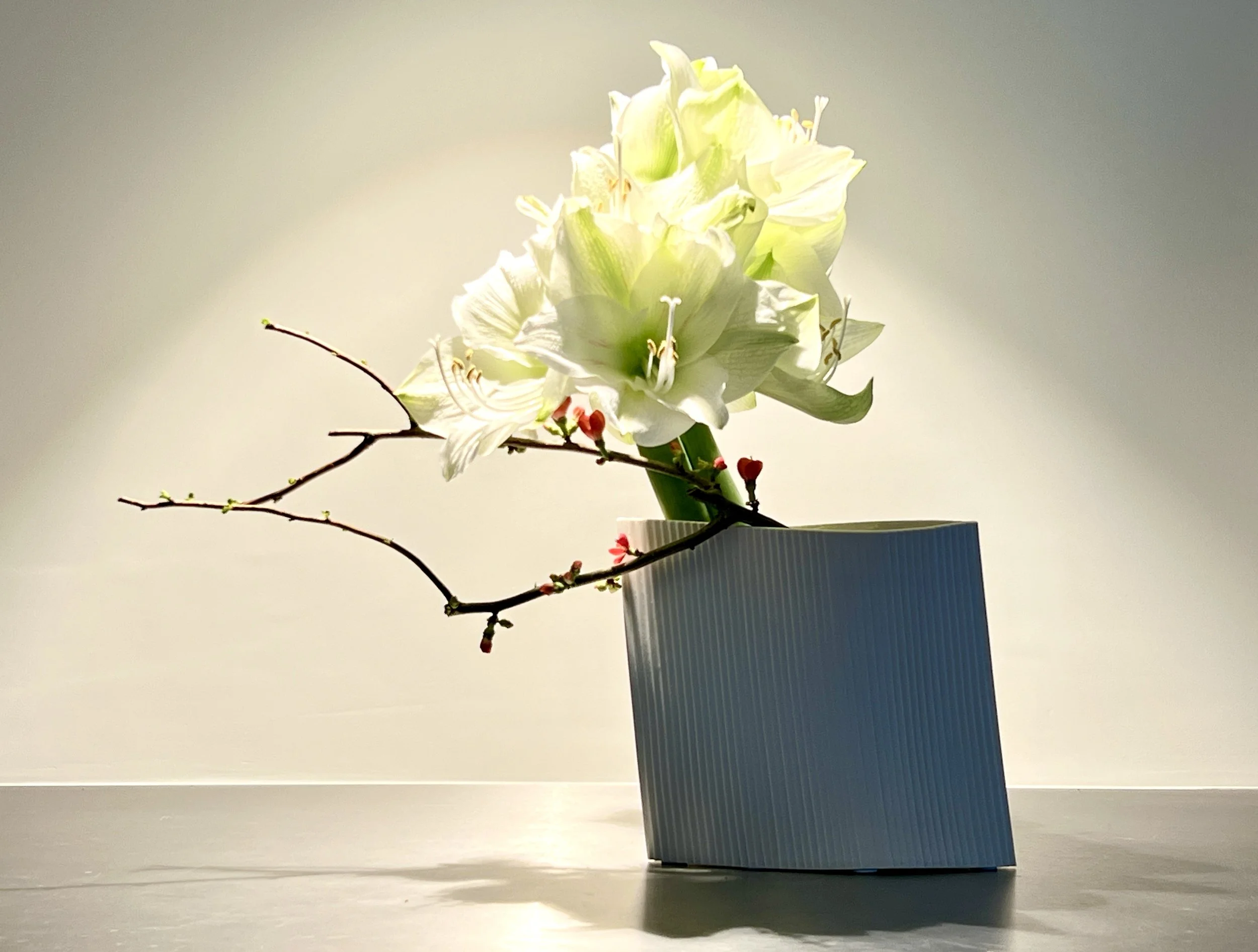 Dinsdag avond           19.00-21.00 uur             Ikebana lessen                Serie 2 - 2024               Huis73                  's-Hertogenbosch 
