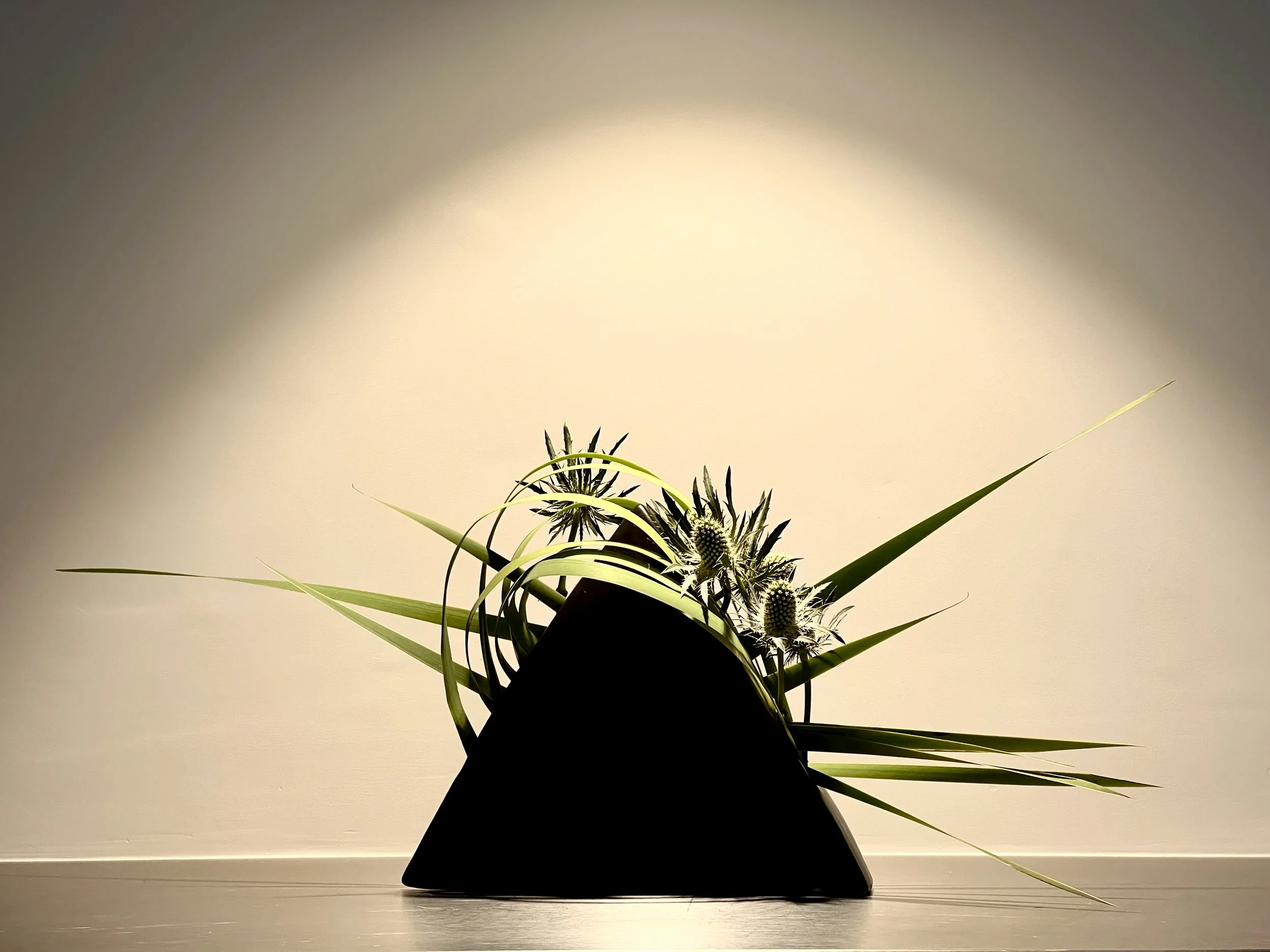 Dinsdagmiddag Serie 2       -     13.00 - 15.00   -    Hosen ikebana  lessen   -    voormalig Paleis van Justitie   -    St. Jorisstraat 129   -    's-Hertogenbosch 