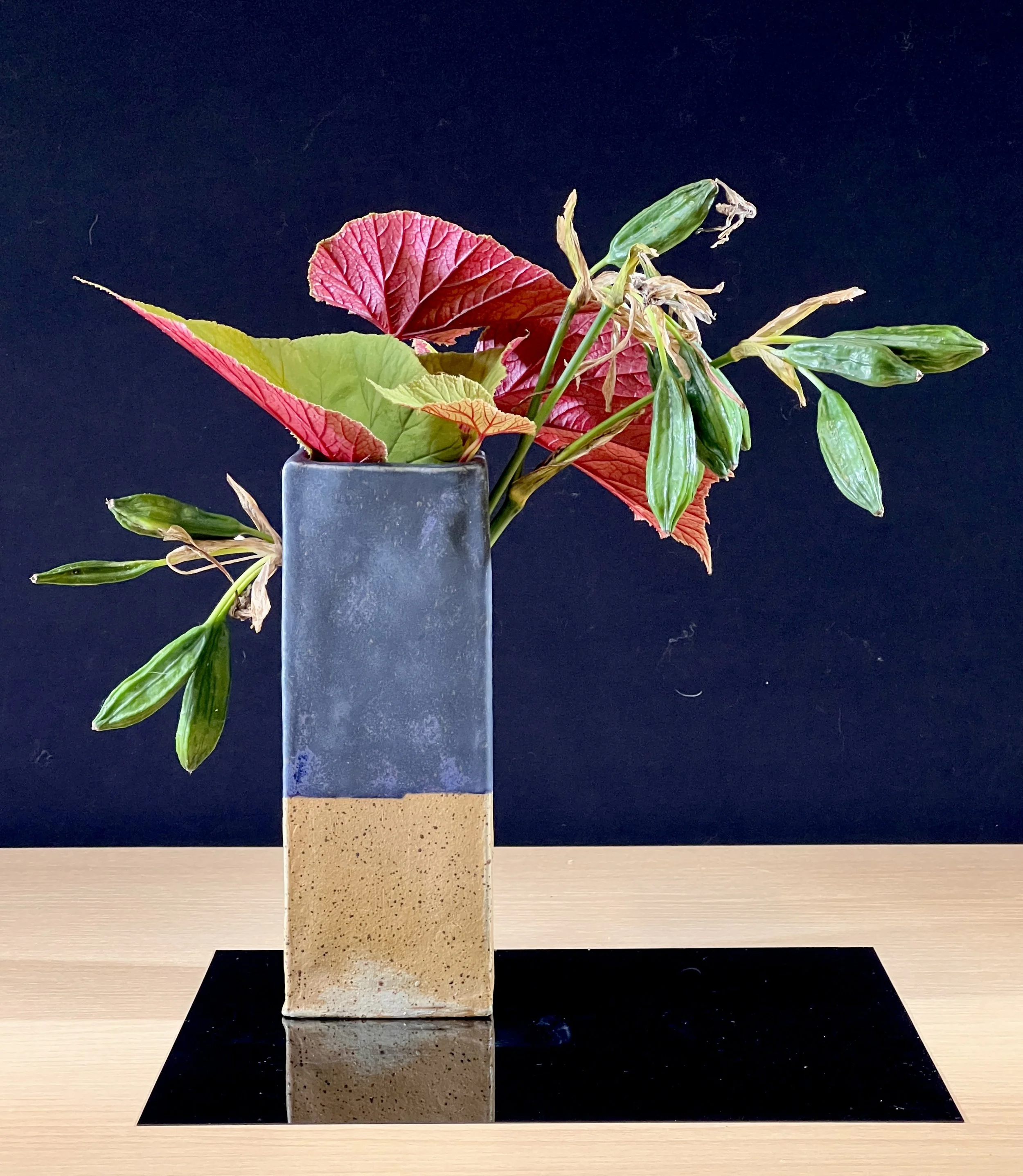 Sogetsu ikebana - Horizontale Compositie