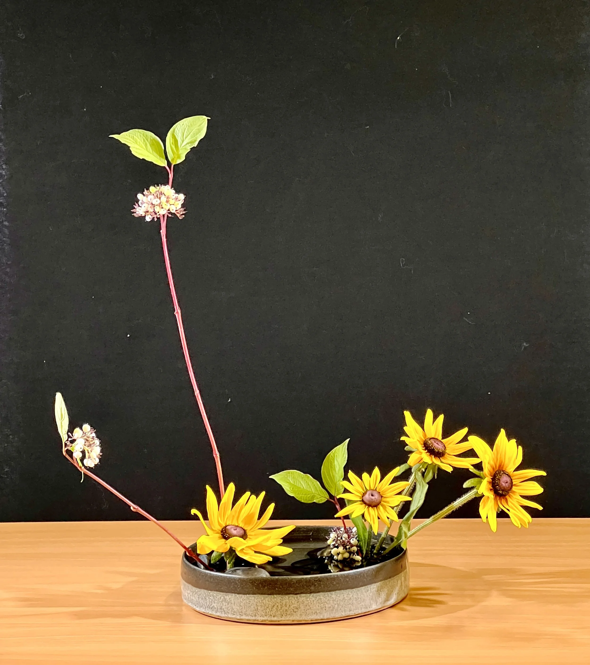 Var. 5 Upright St.Moribana Dinsdagochtend Hetty