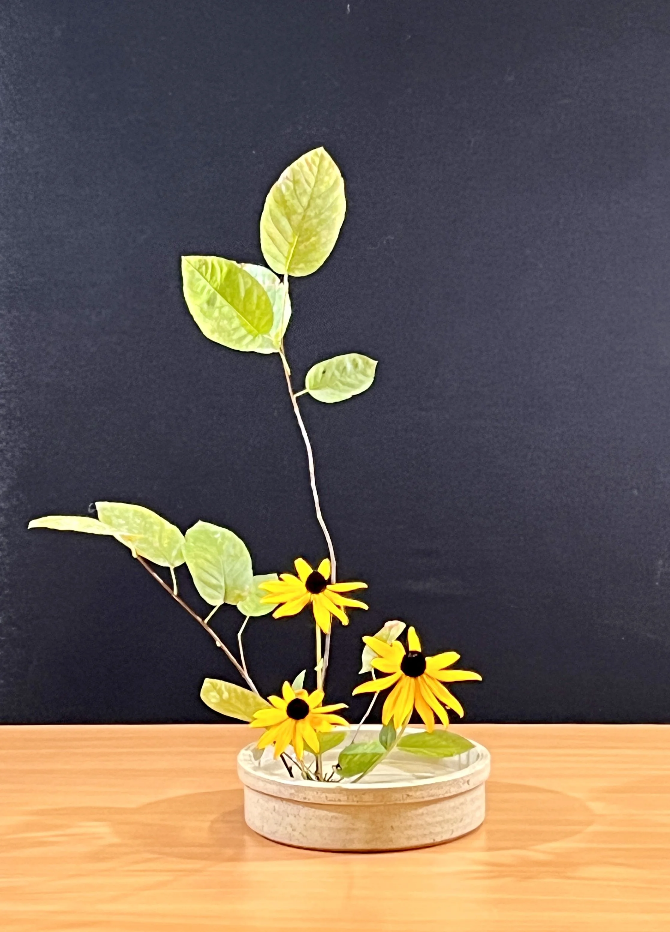 Basic Upright St. Moribana Dinsdagmiddag Mireille 