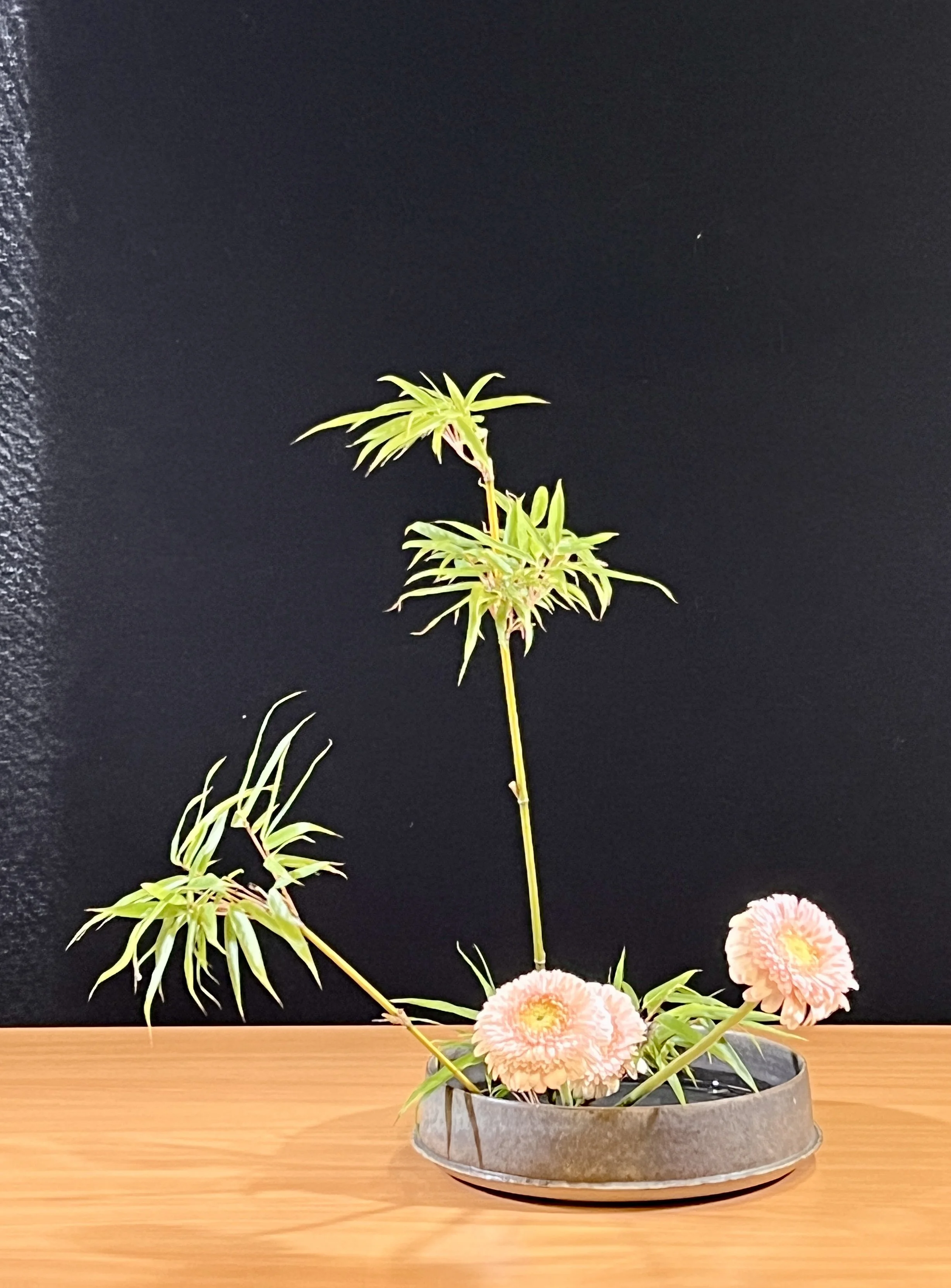 Basic Upright St. Moribana Dinsdagmiddag Sandra 