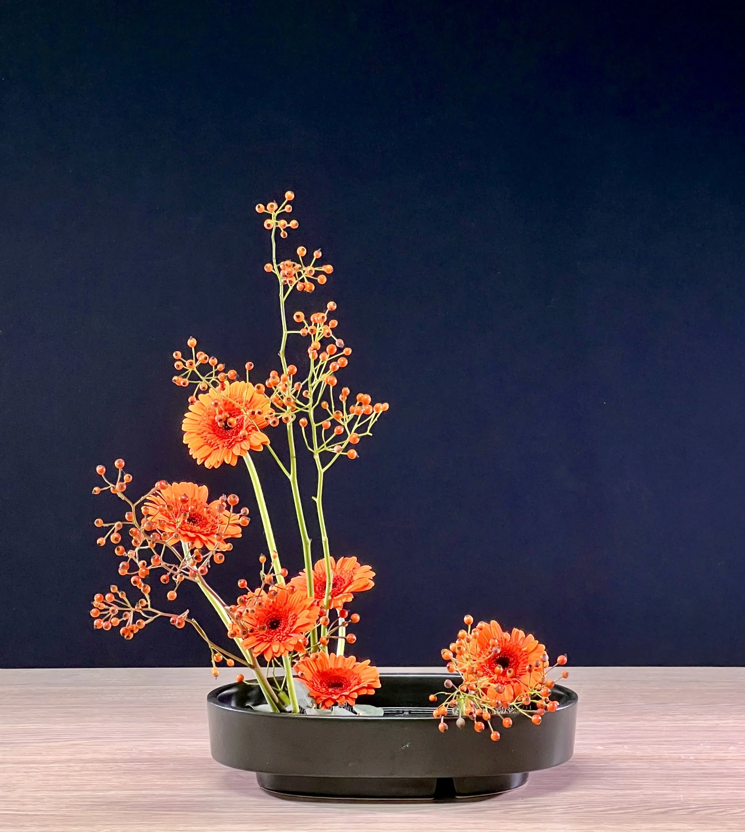 var. 5 Upright Style Moribana Karina 