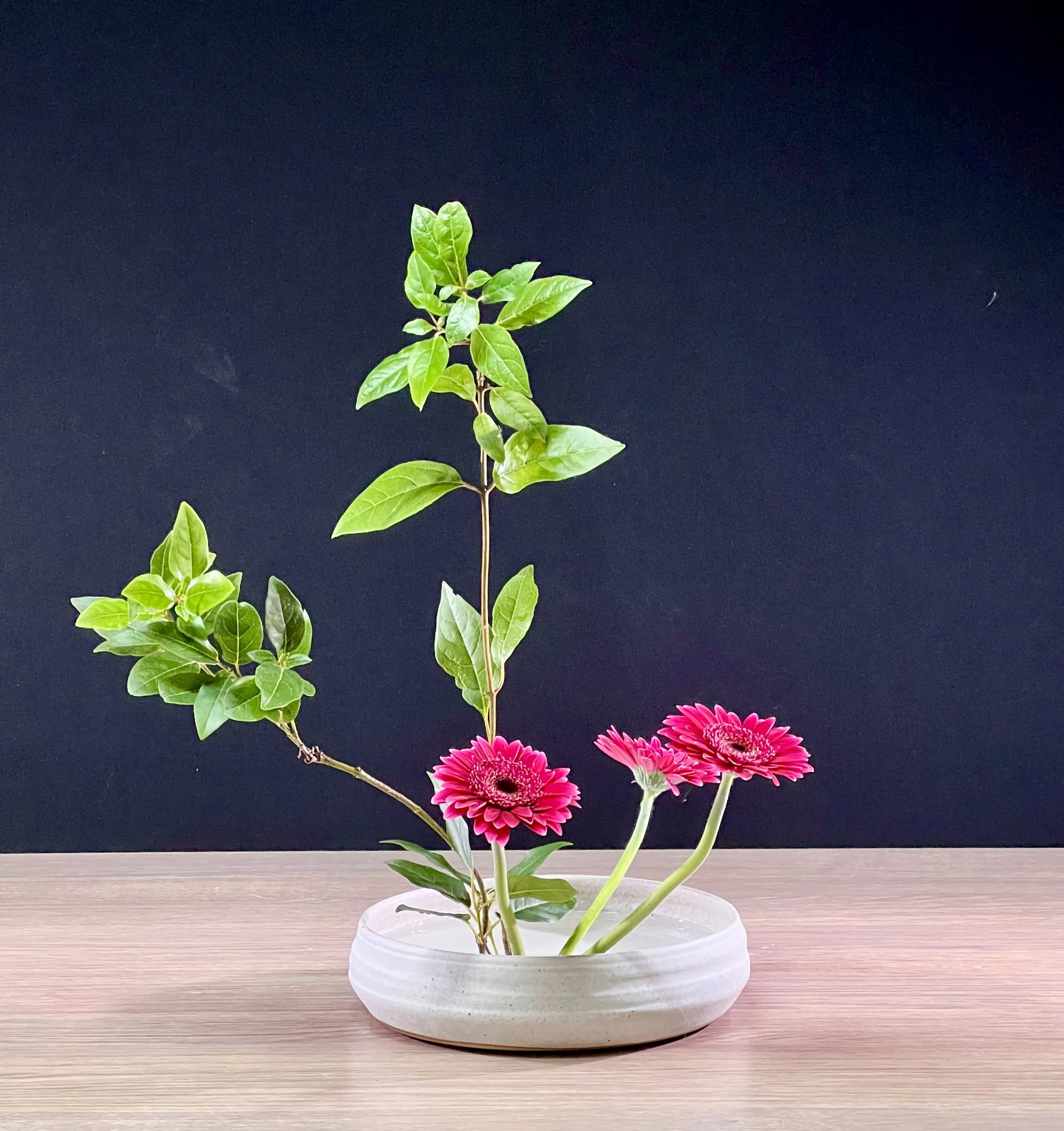 Basic Upright Style Moribana Eindhoven Carola 