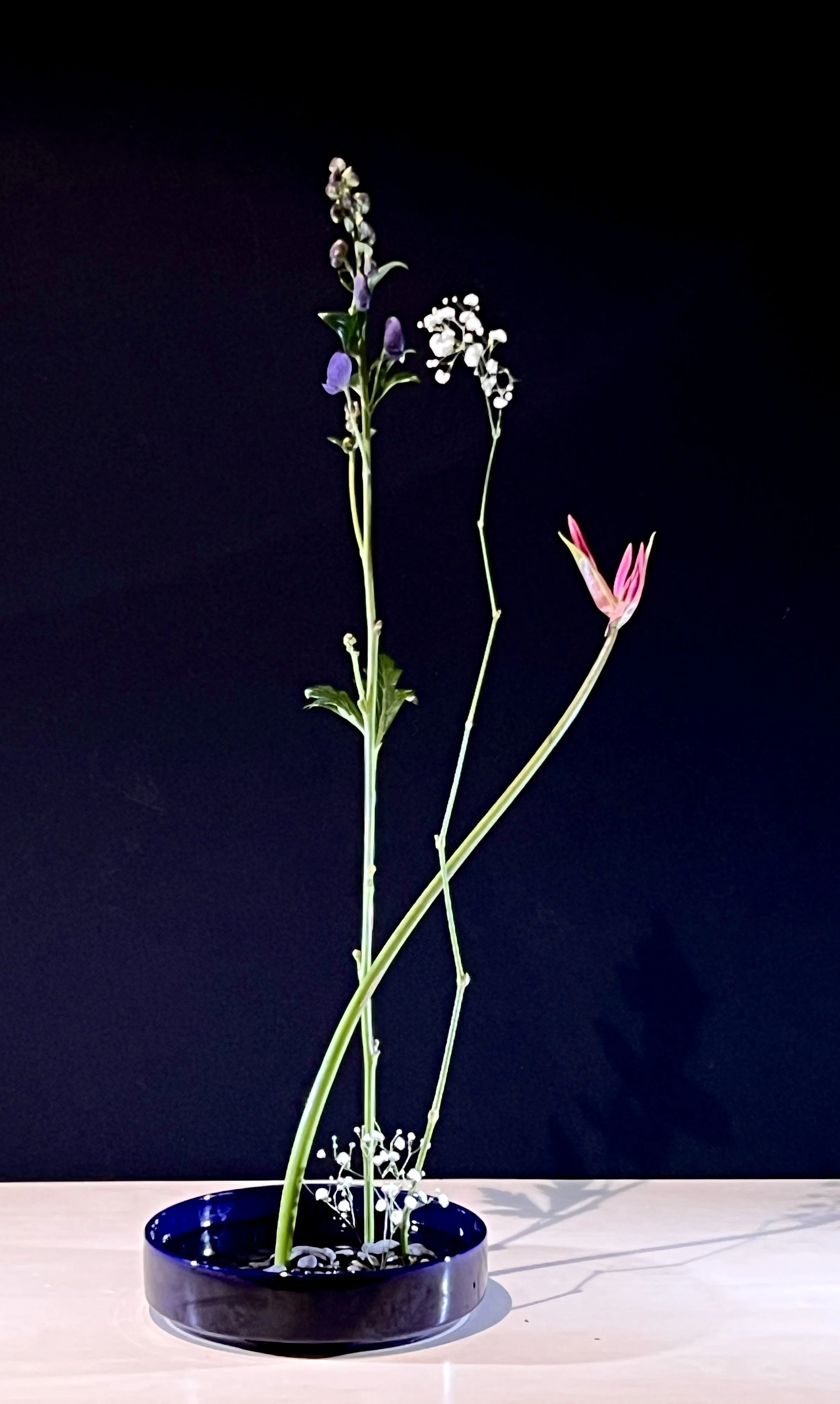 Vertical Arrangement Nijmegen Eva 