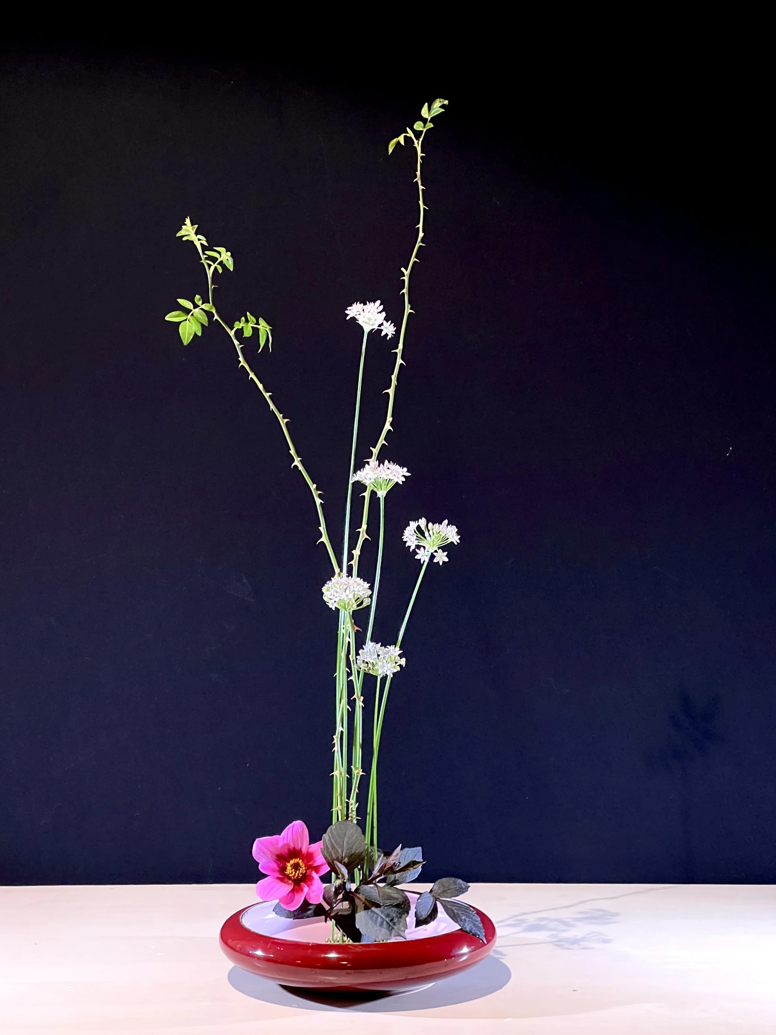 Vertical Arrangement Nijmegen Maria 